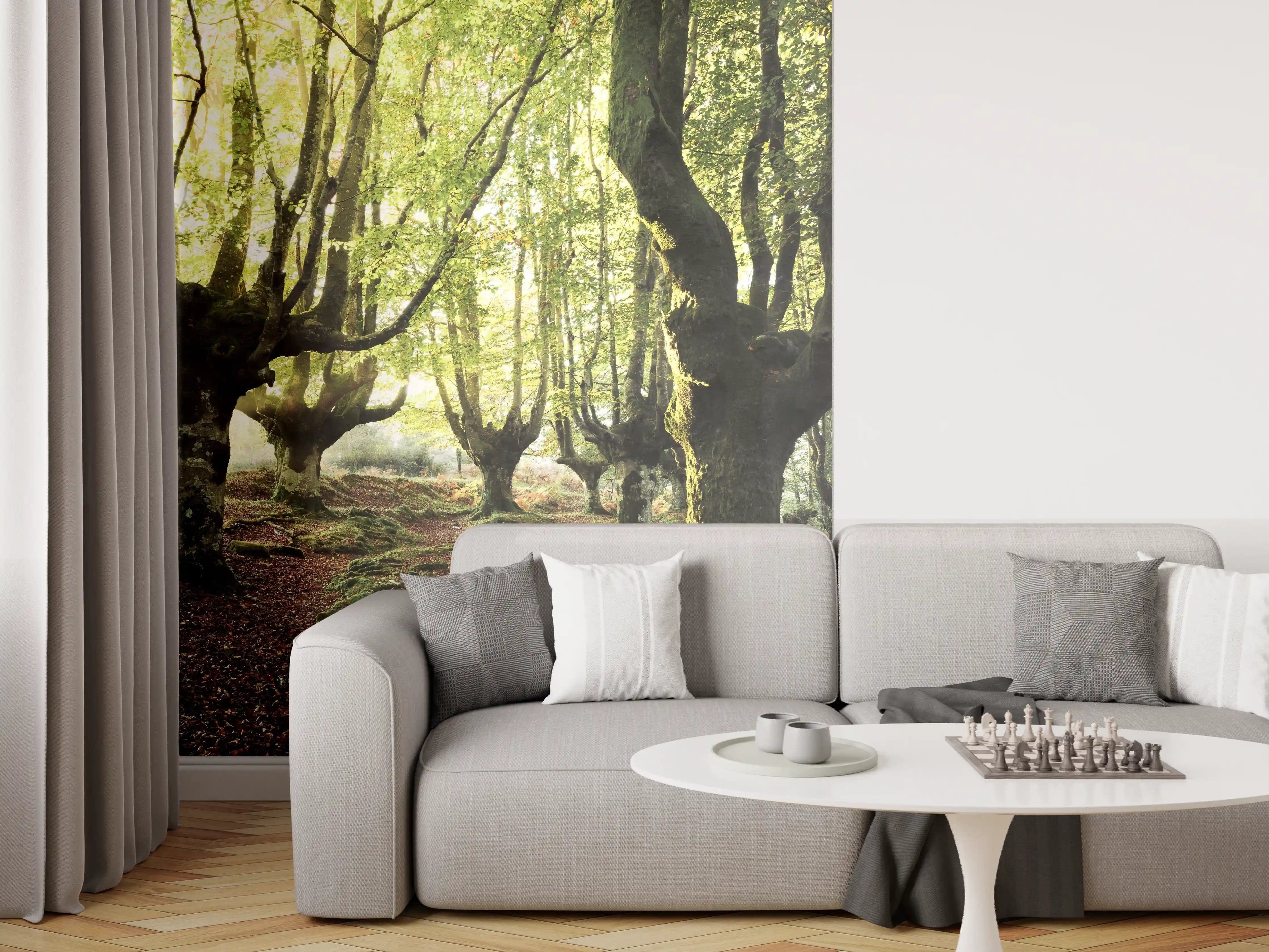 Wandverkleidung Wohnzimmer - Mystische Baumreihe im Grünen