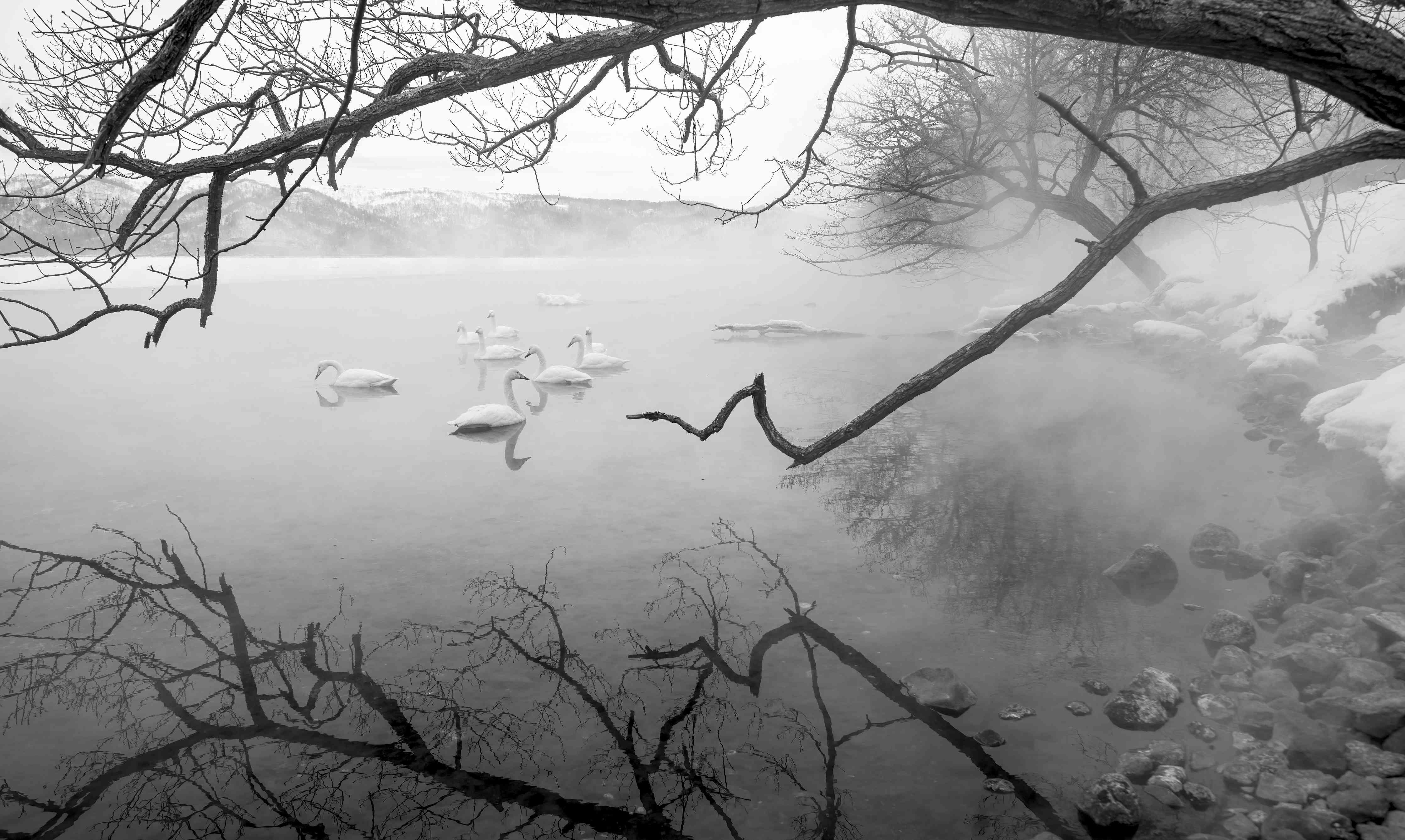 Wandverkleidung Wohnzimmer-Mystischer Nebel am Fluss