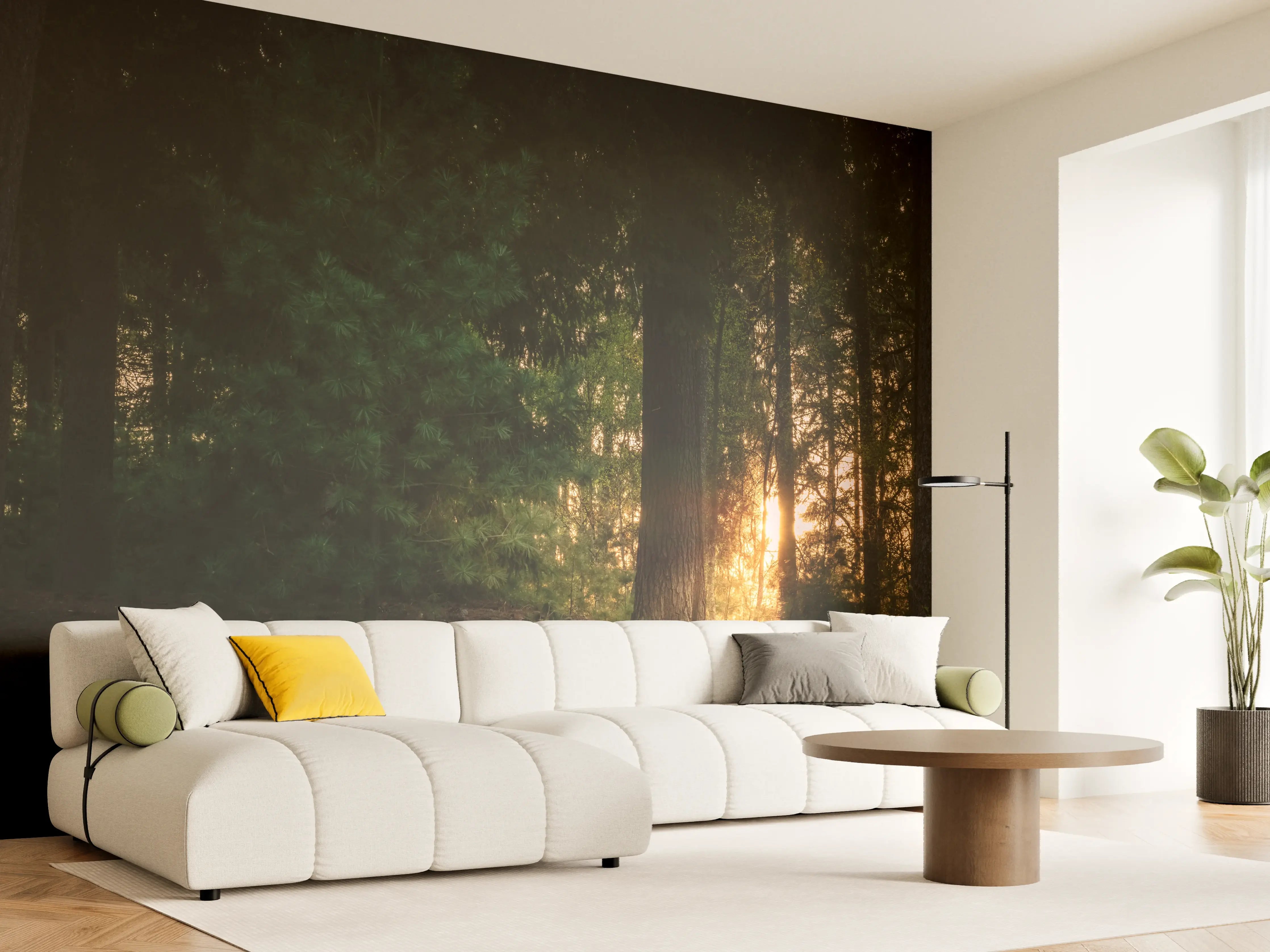 Wandverkleidung Wohnzimmer - Mystischer Sonnenuntergang im Wald