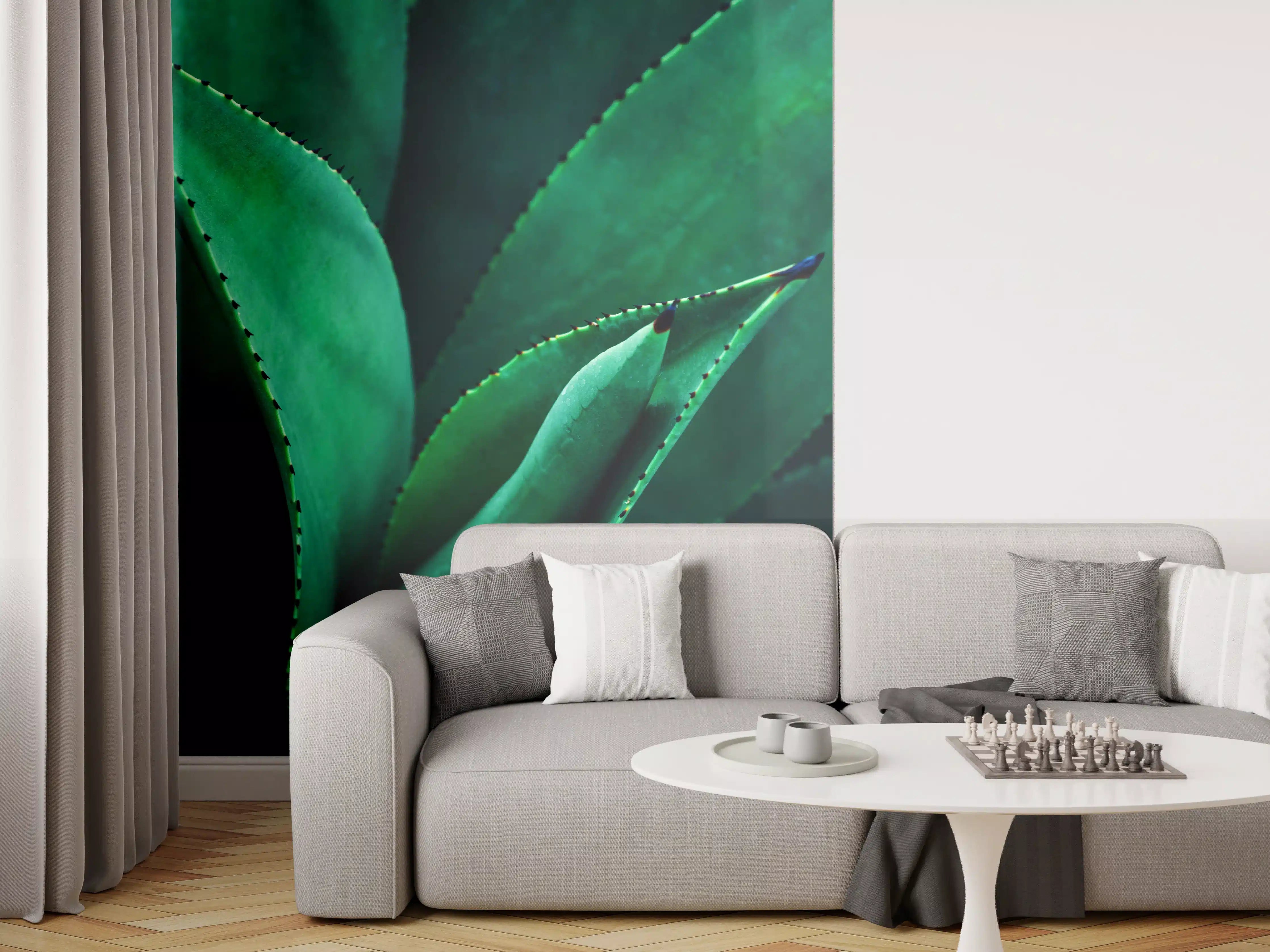 Wandverkleidung Wohnzimmer - Nahaufnahme von saftigen Aloe Vera Blättern