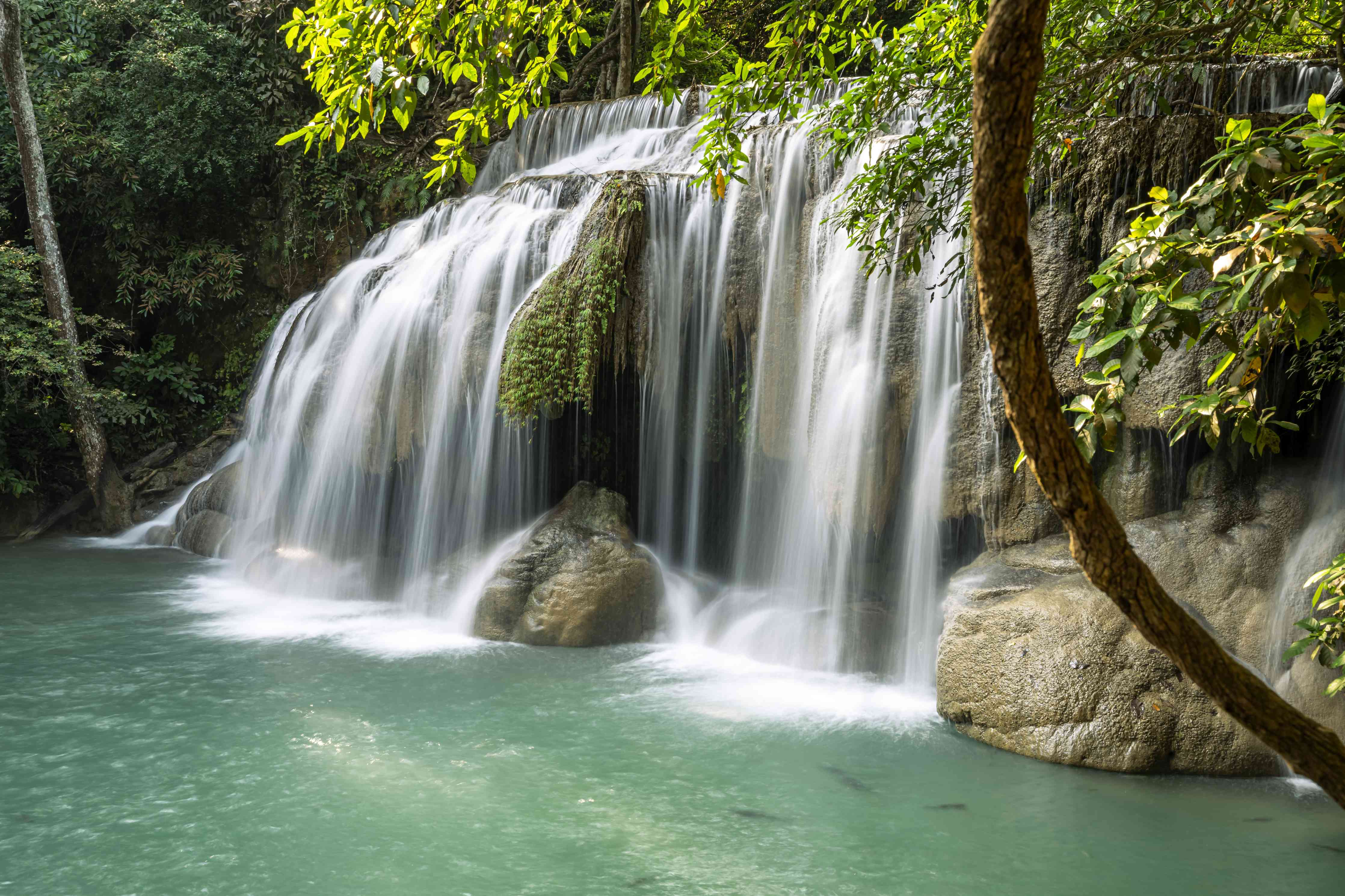 Wandverkleidung Wohnzimmer-Naturpool mit Wasserfall in grünem Dschungel