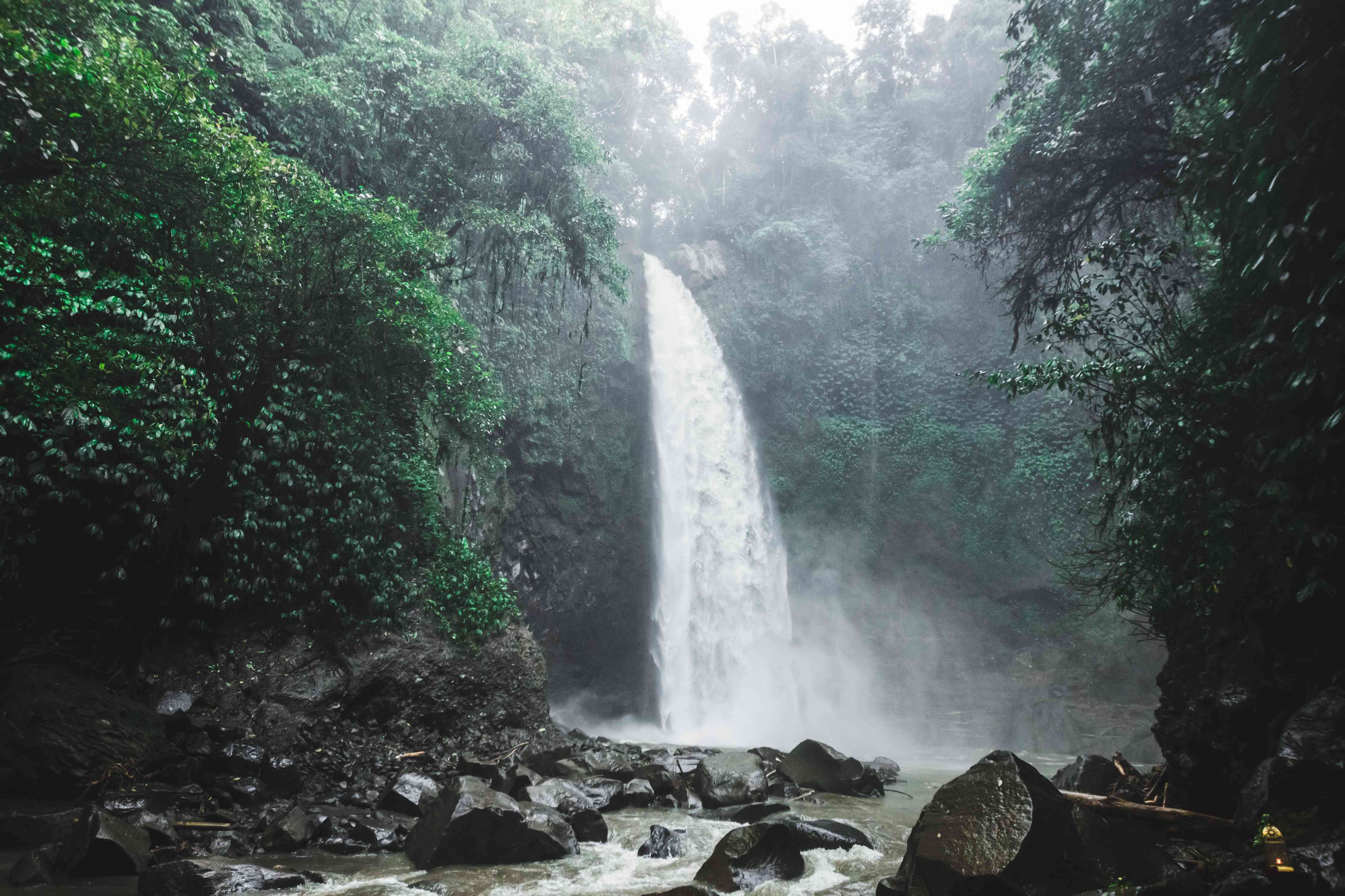 Wandverkleidung Wohnzimmer-Naturwasserfall im Dschungel