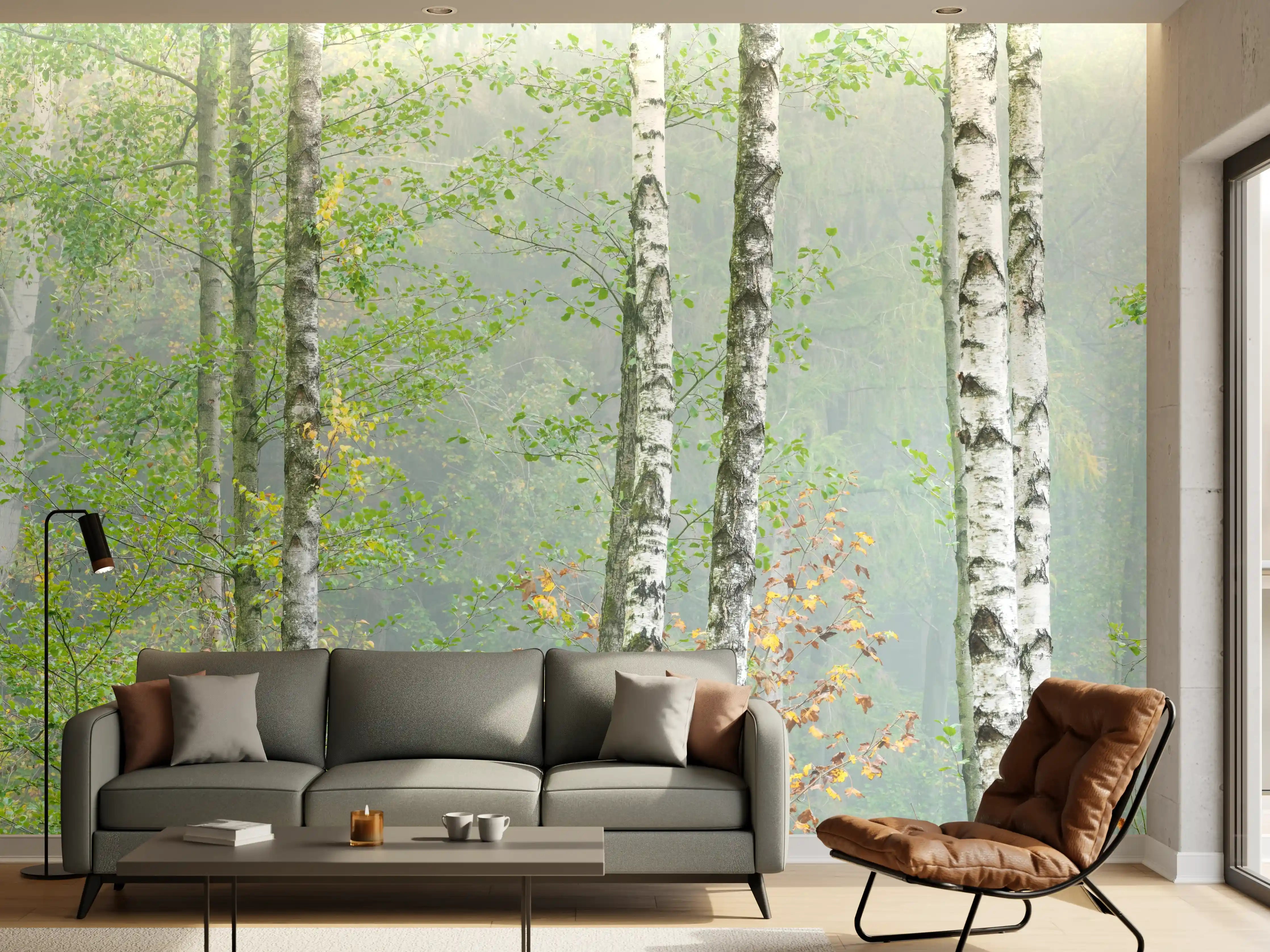 Wandverkleidung Wohnzimmer - Nebeliger Birkenwald