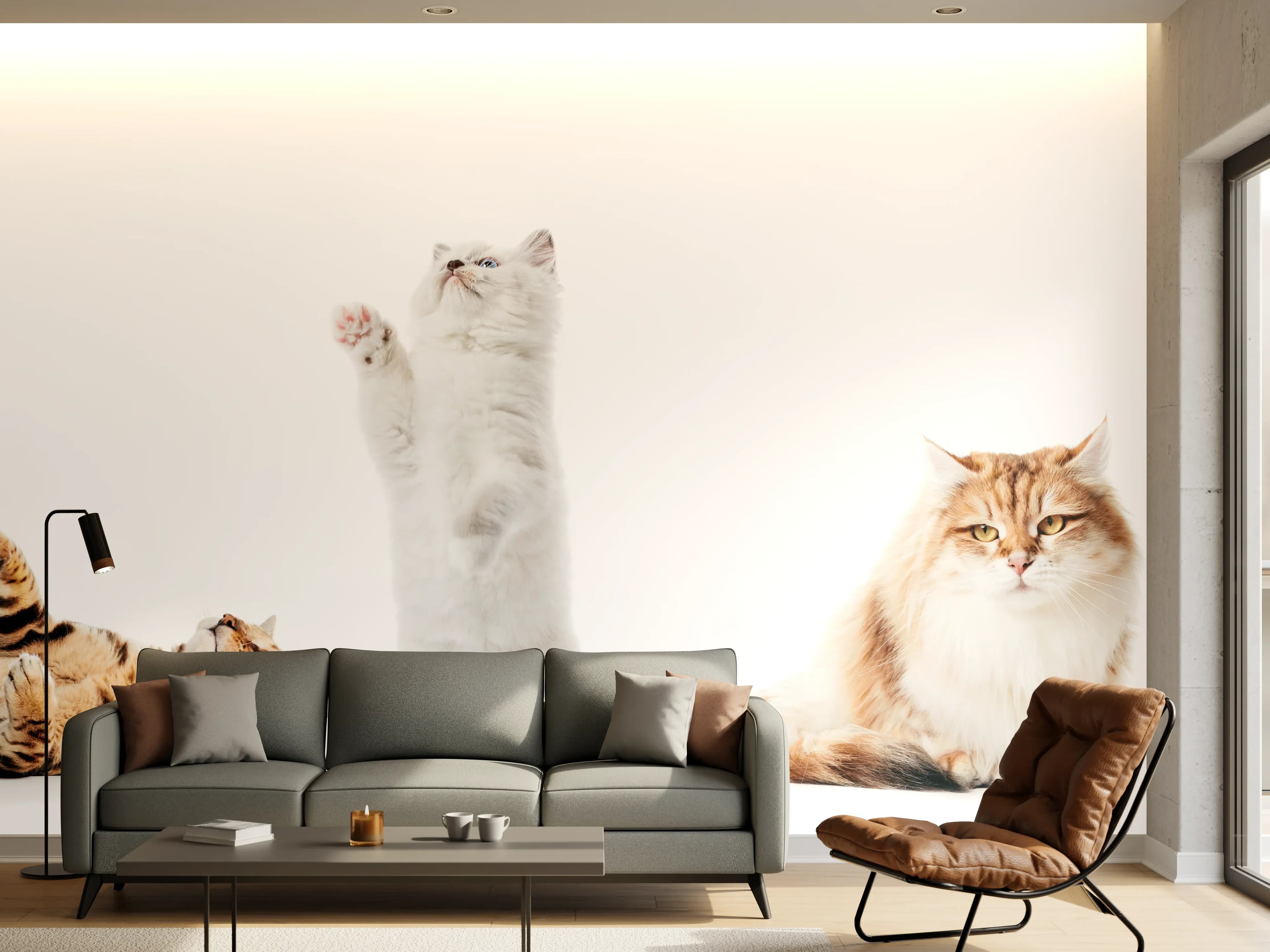 Wandverkleidung Wohnzimmer - Reinrassige Katzen Weiß-Sammlung