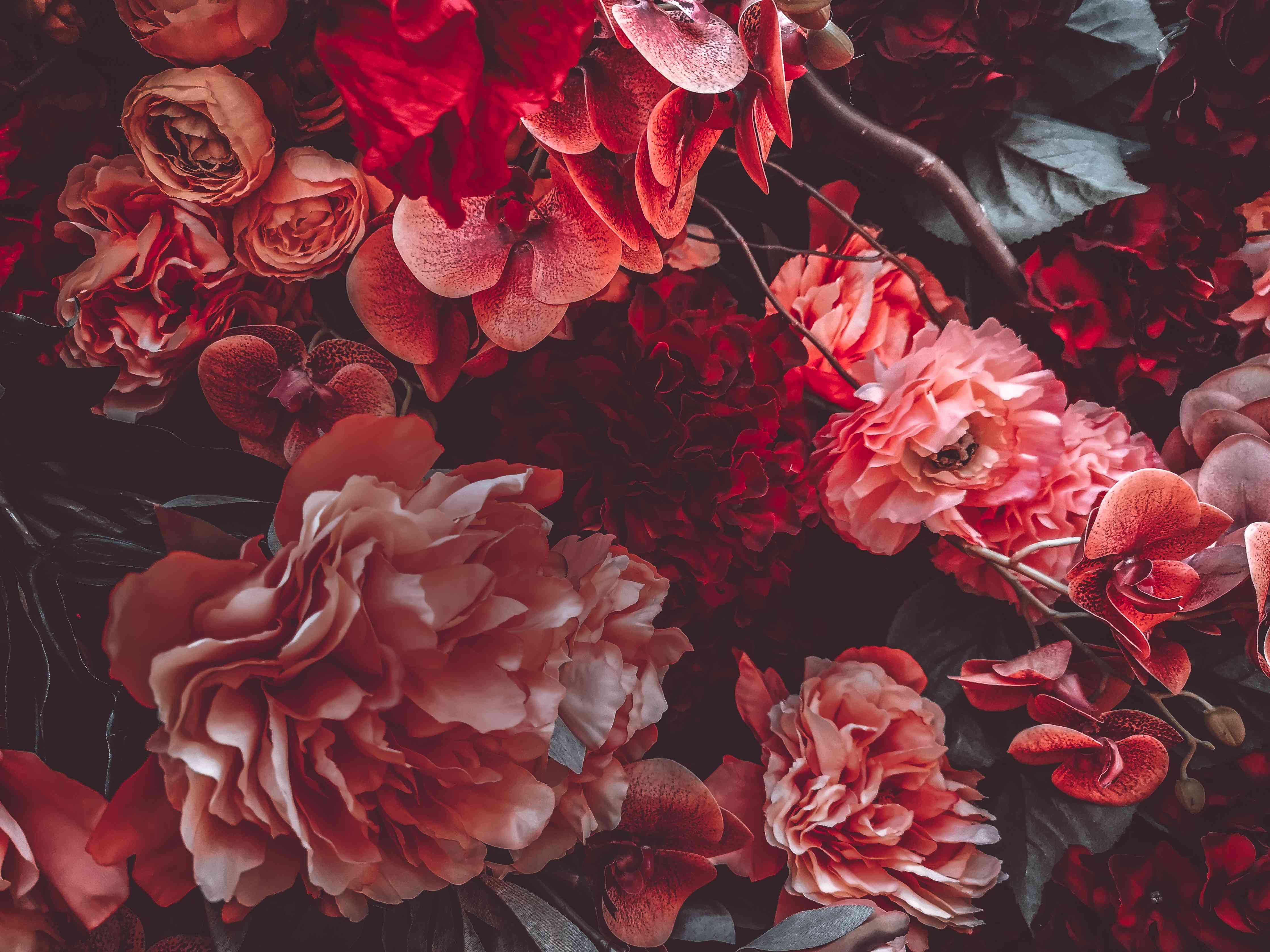 Wandverkleidung Wohnzimmer-Romantische Blumenpracht in Rot