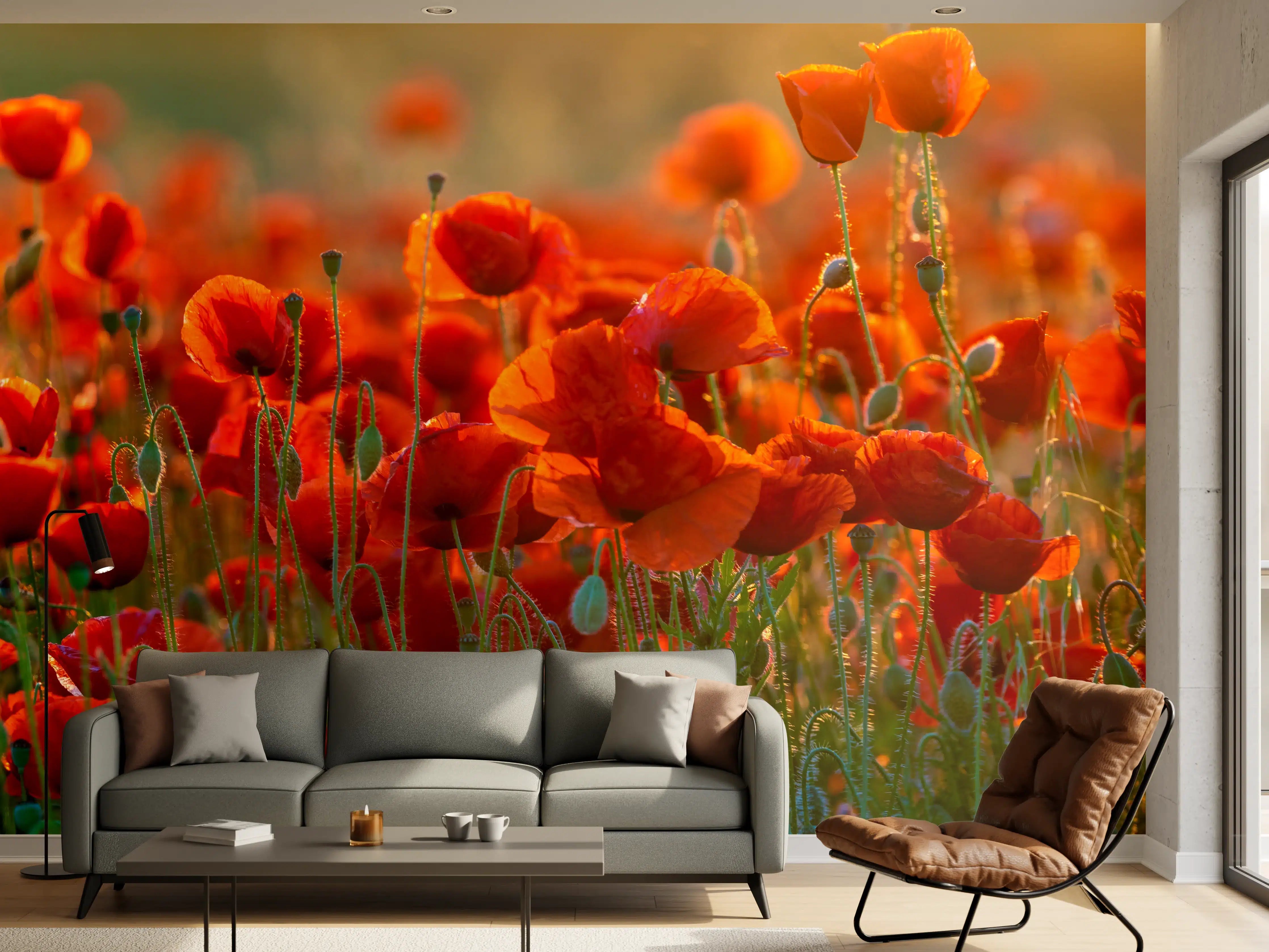 Wandverkleidung Wohnzimmer - Rotes Mohnfeld Panorama