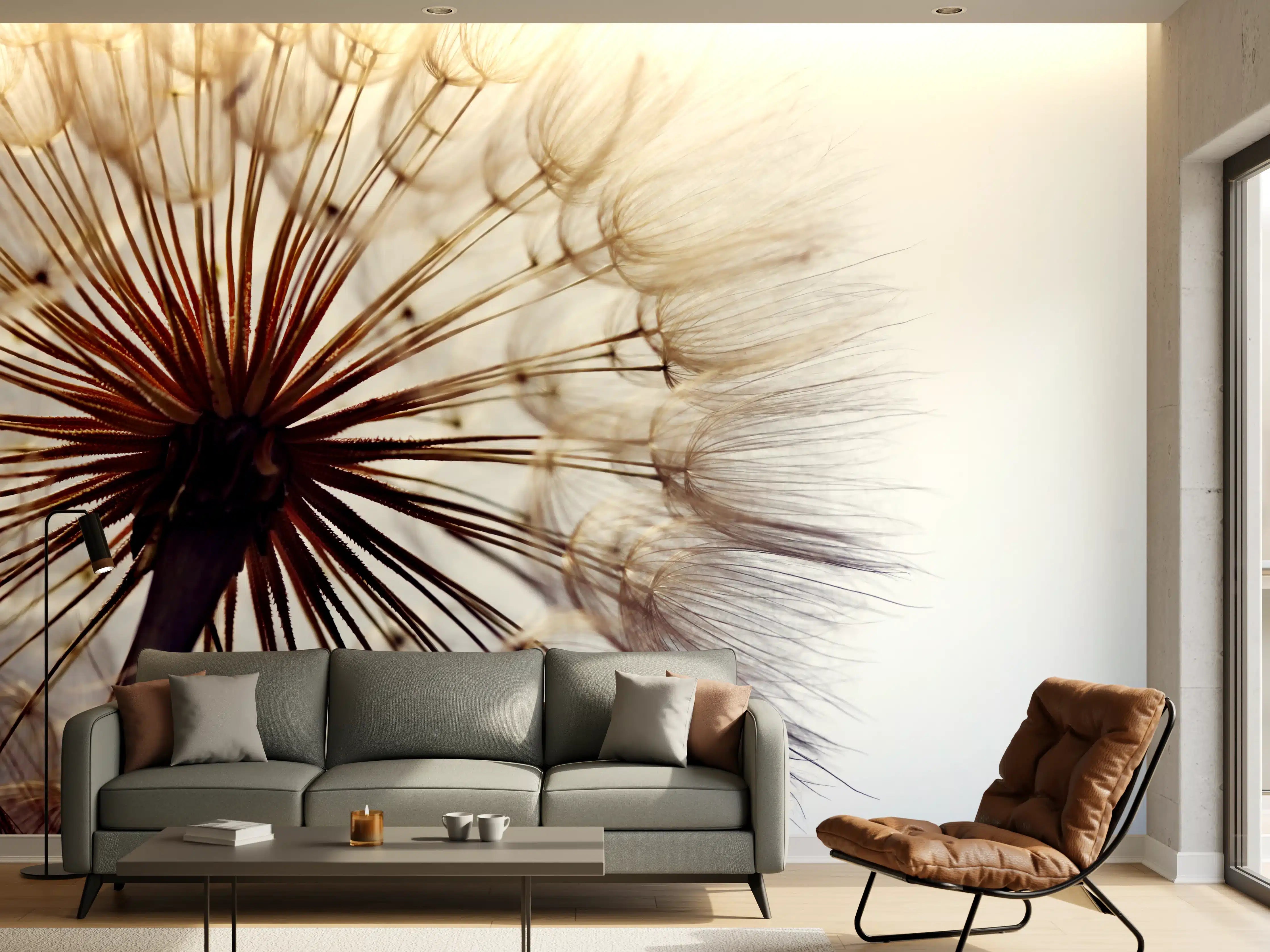 Wandverkleidung Wohnzimmer - Sanfte Pusteblume im Gegenlicht
