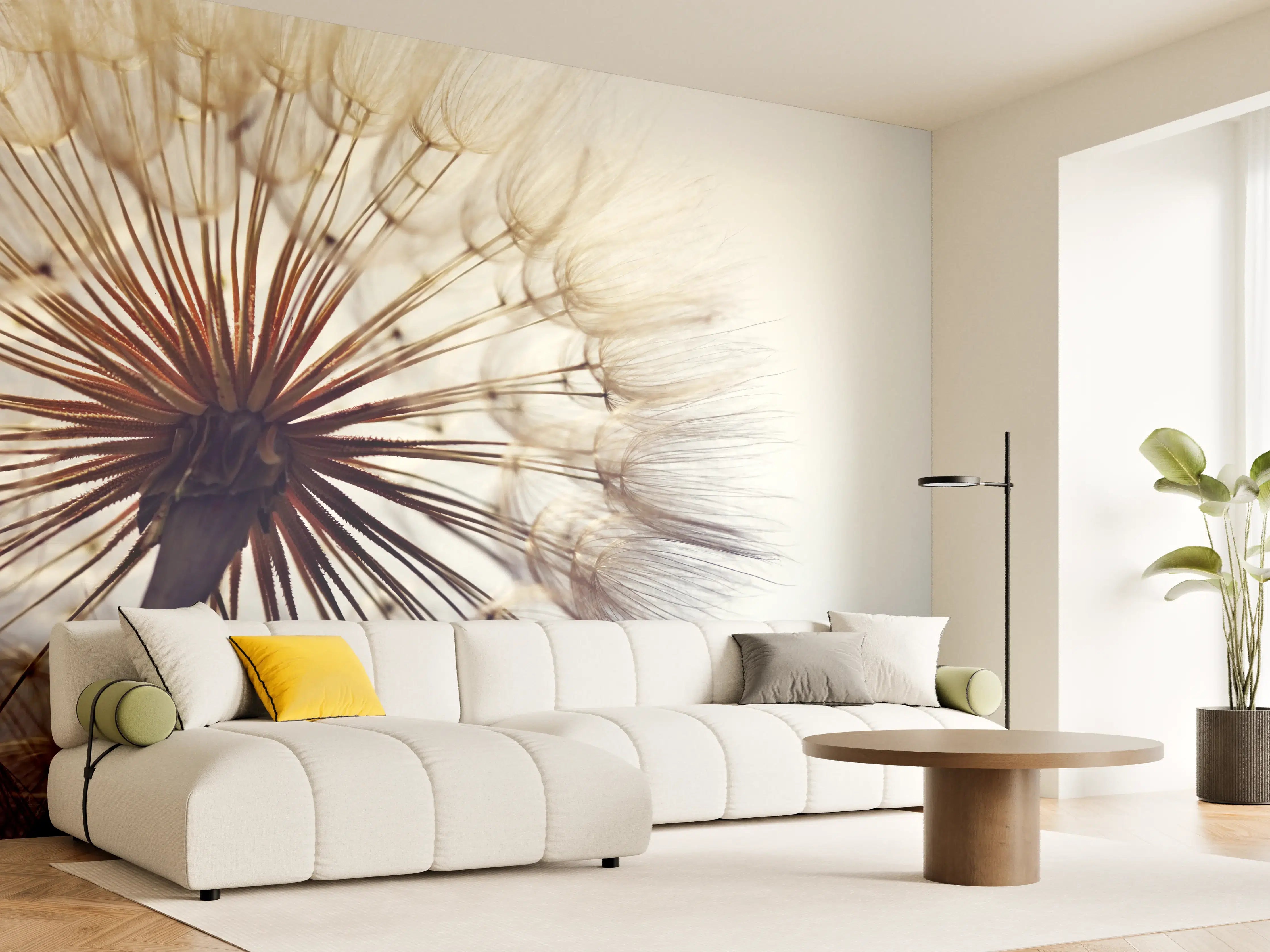 Wandverkleidung Wohnzimmer - Sanfte Pusteblume im Gegenlicht