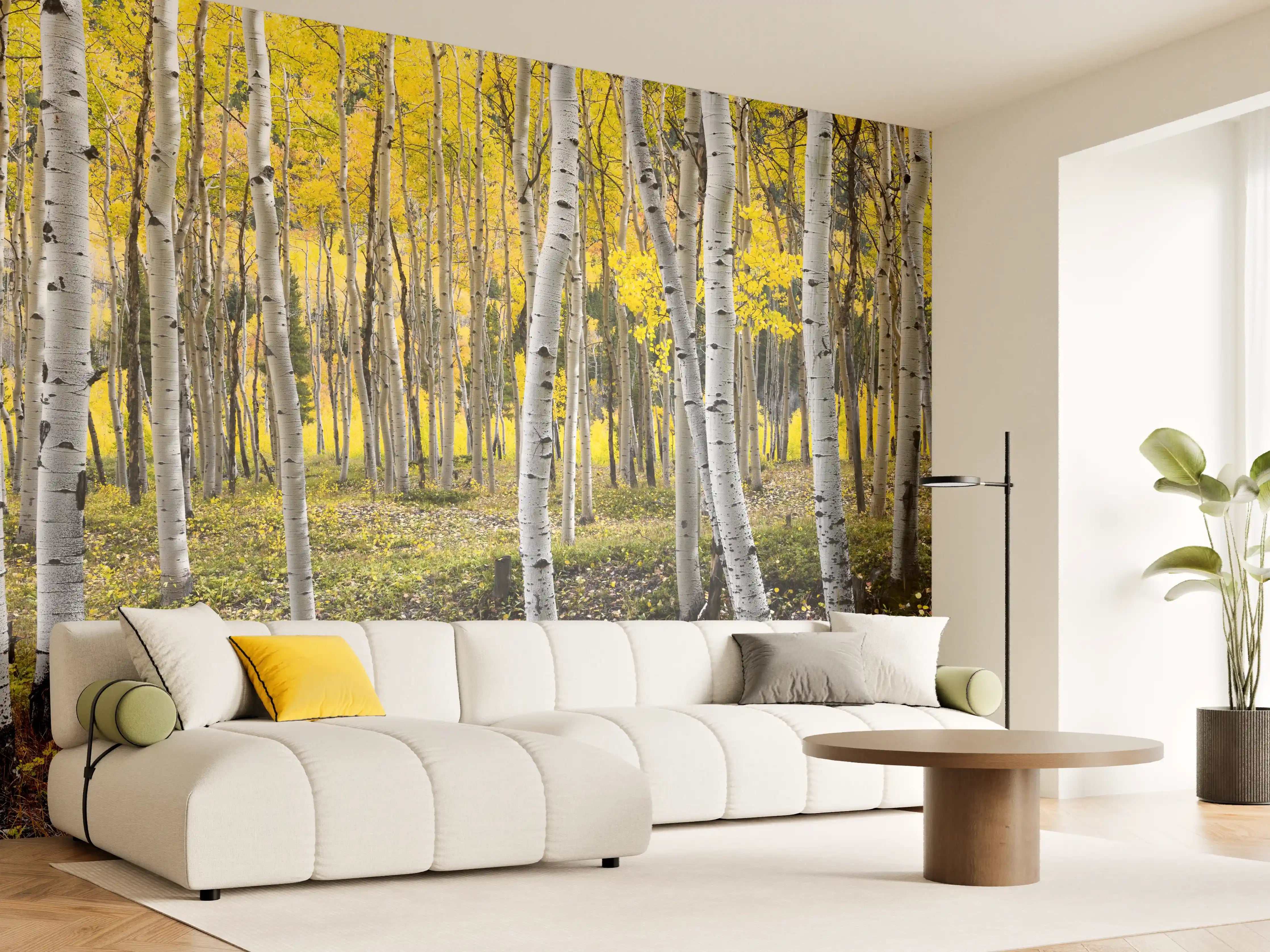 Wandverkleidung Wohnzimmer - Sanfter Birkenhain im grauen Herbst