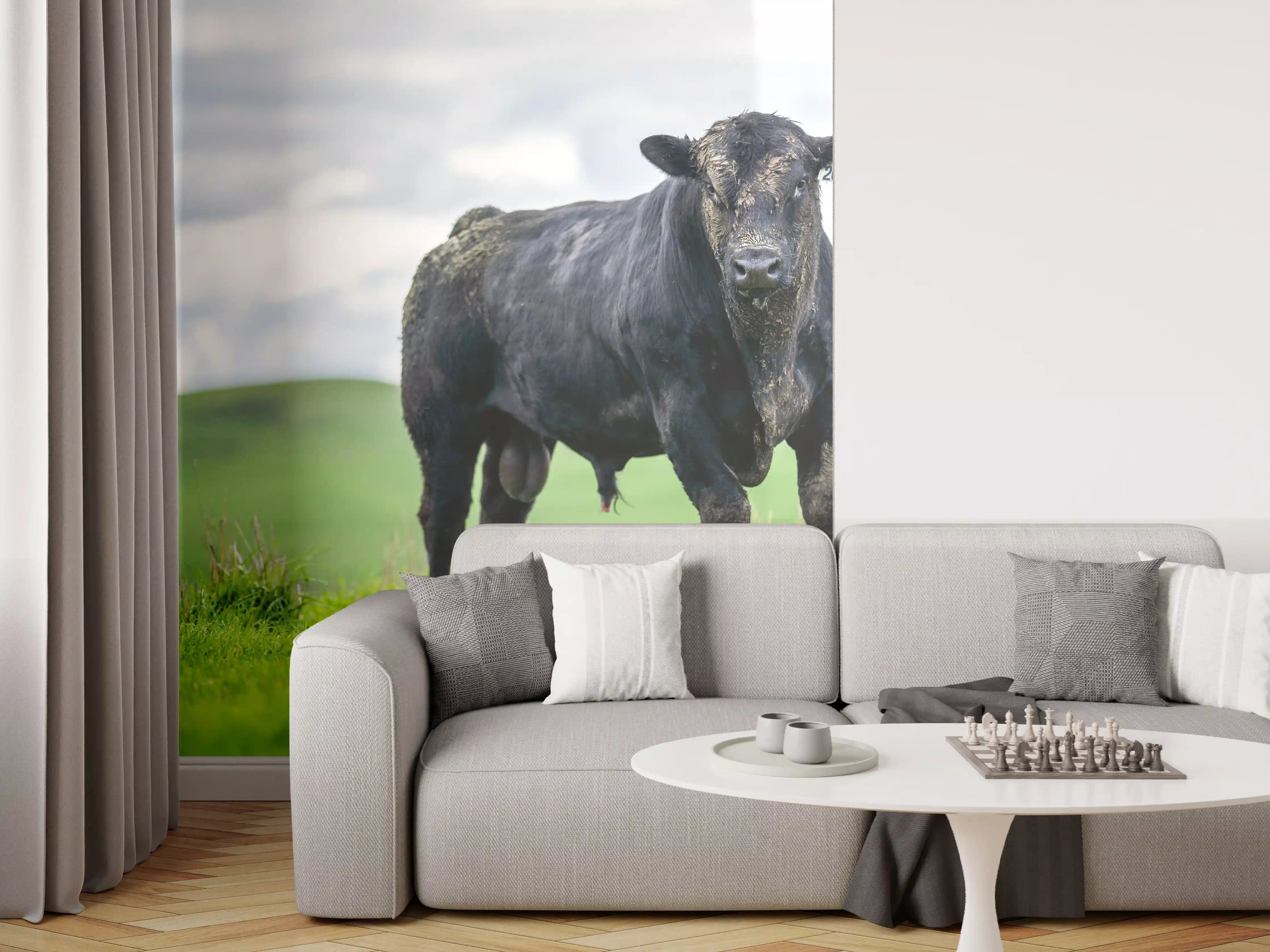 Wandverkleidung Wohnzimmer - Schmutziger Aberdeen Angus
