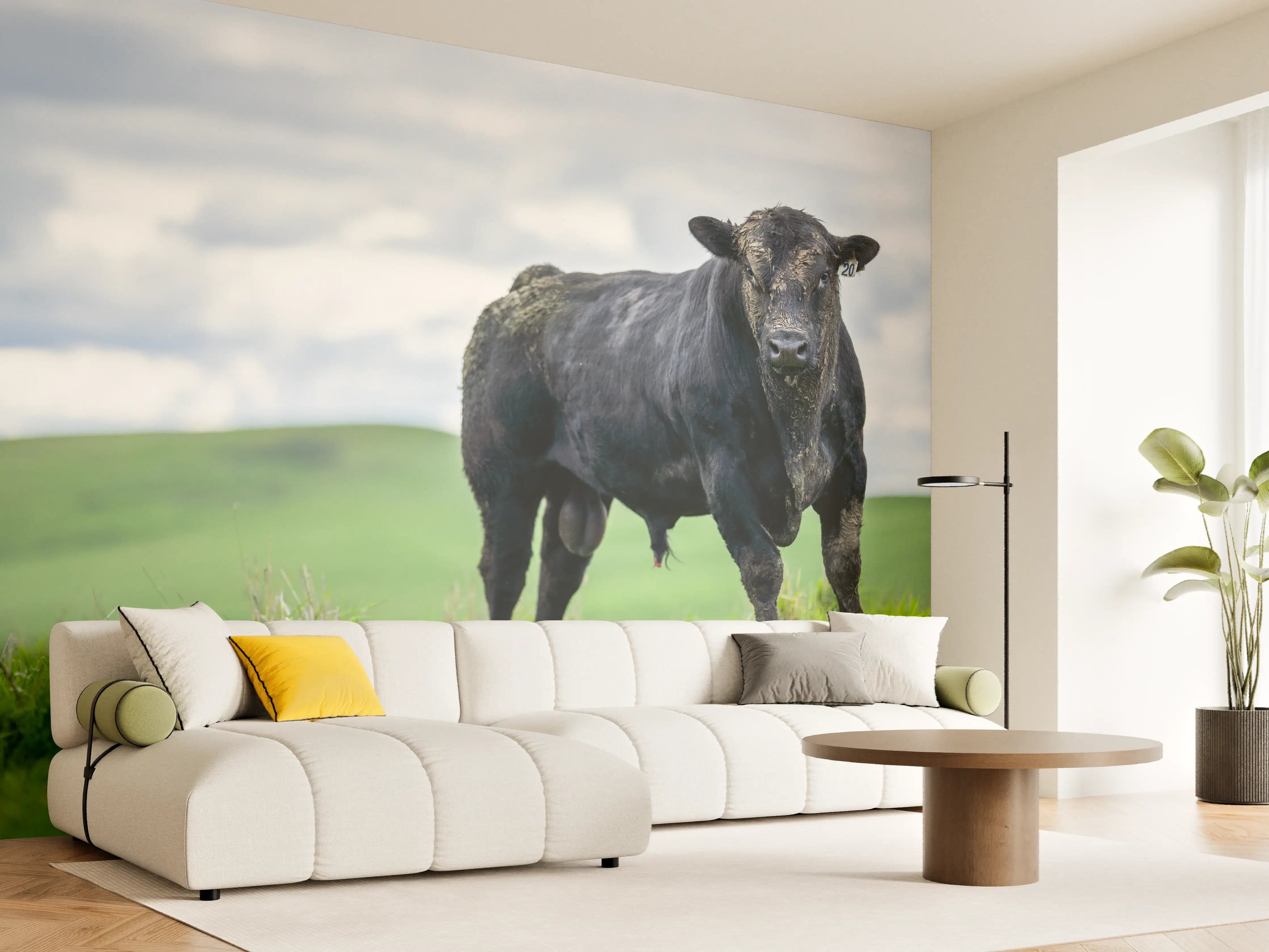 Wandverkleidung Wohnzimmer - Schmutziger Aberdeen Angus