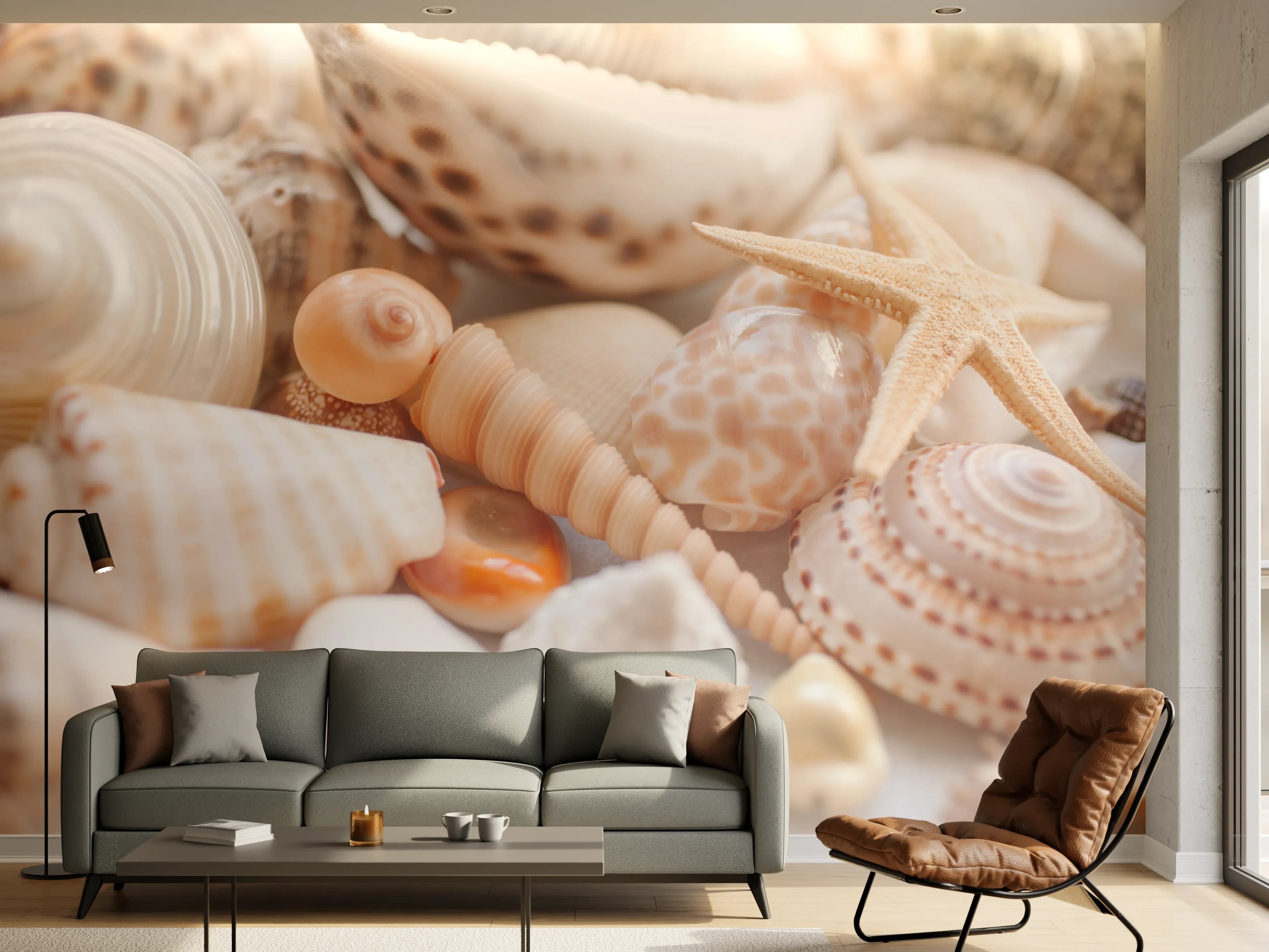 Wandverkleidung Wohnzimmer - Schöne Muschelsammlung