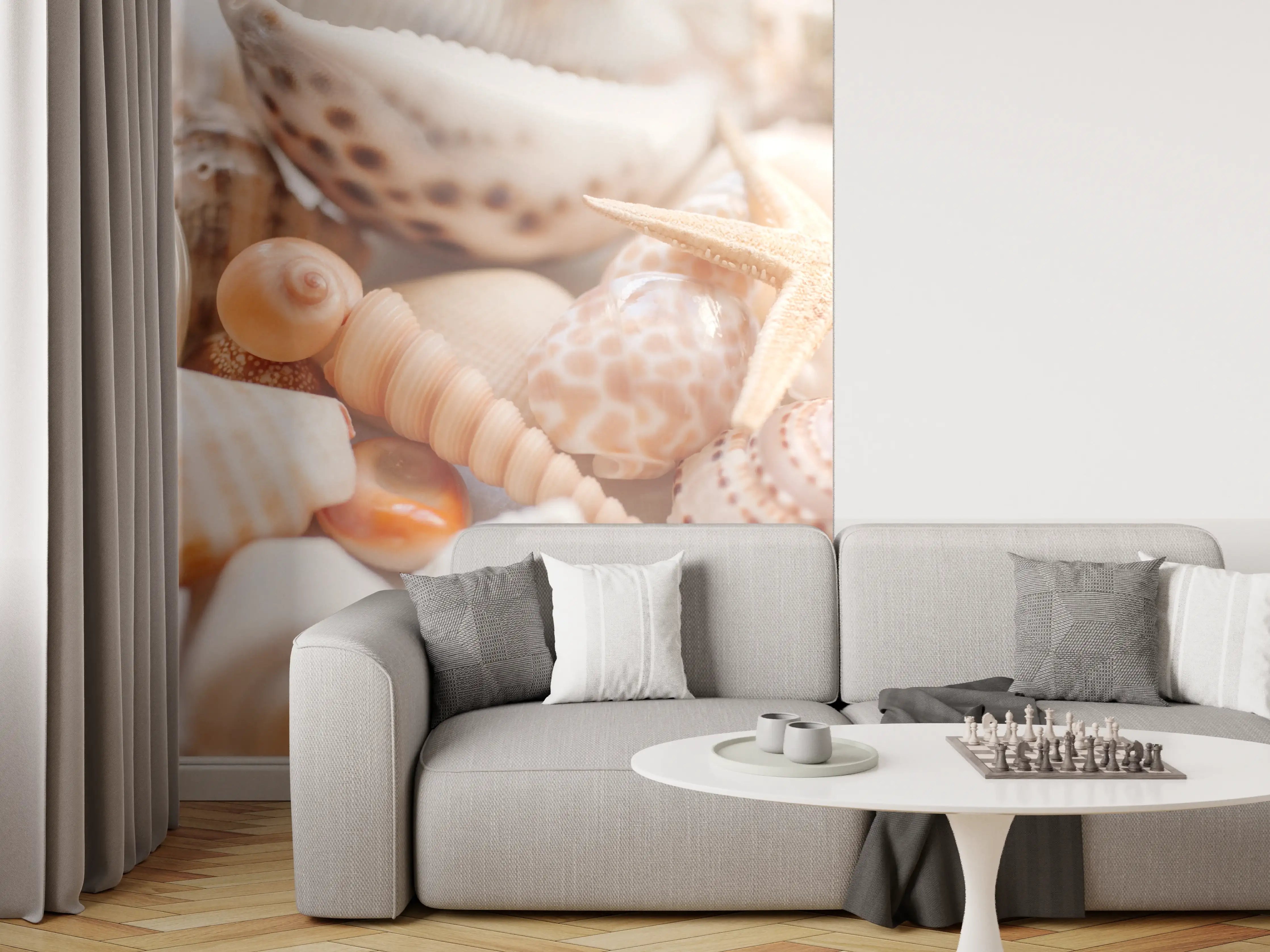 Wandverkleidung Wohnzimmer - Schöne Muschelsammlung