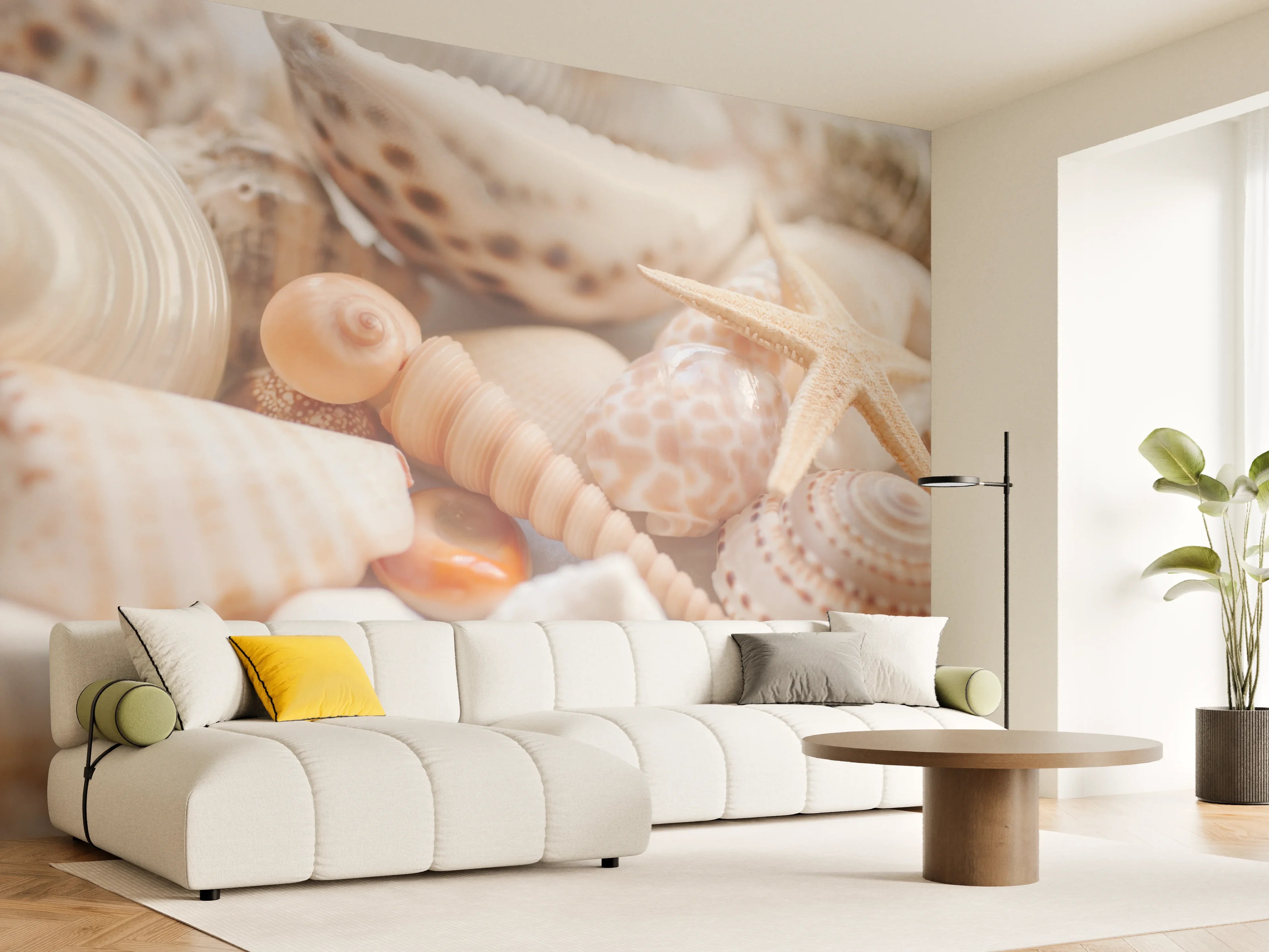 Wandverkleidung Wohnzimmer - Schöne Muschelsammlung