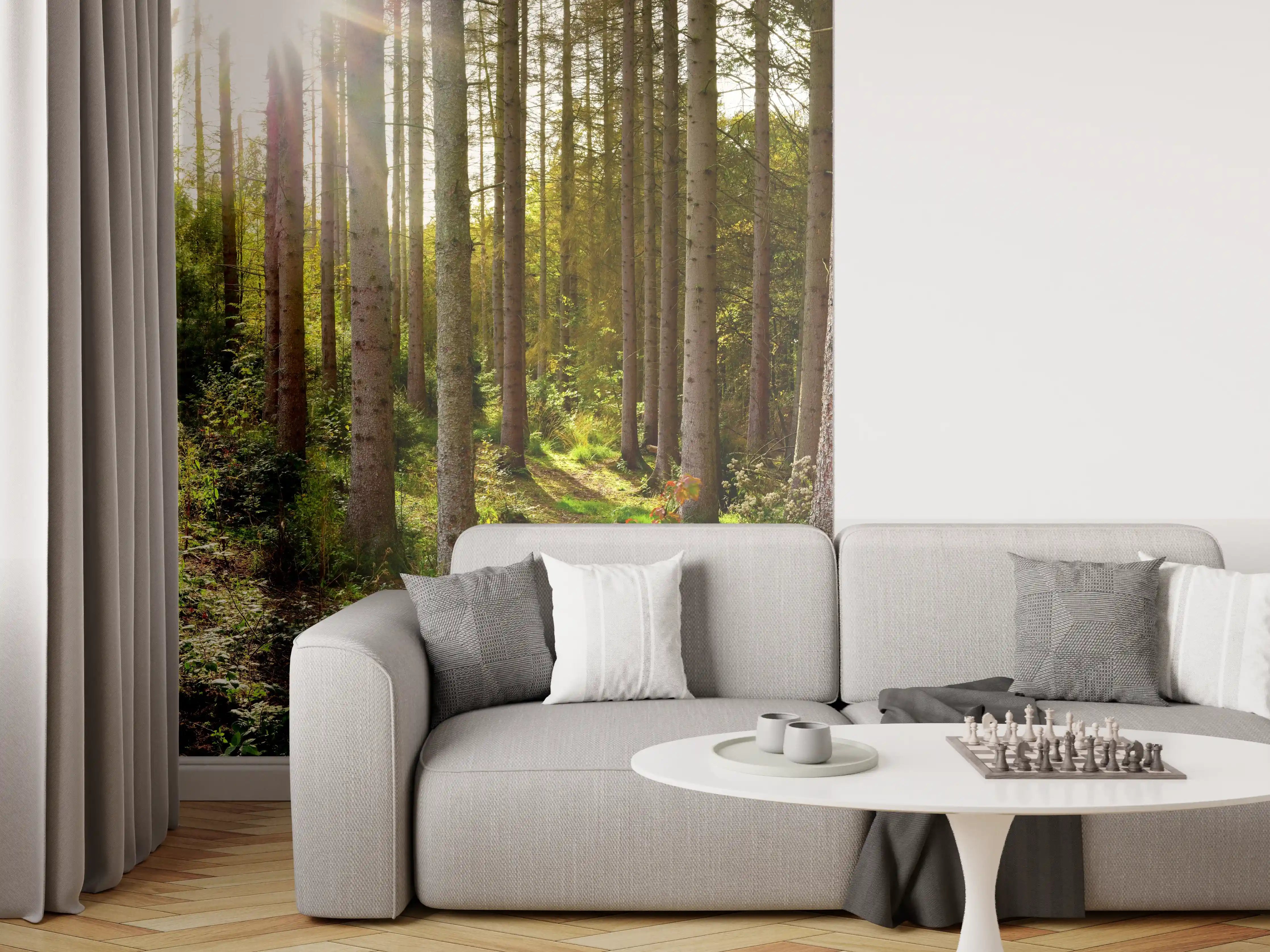 Wandverkleidung Wohnzimmer - Schöner Fichtenwald im Herbst