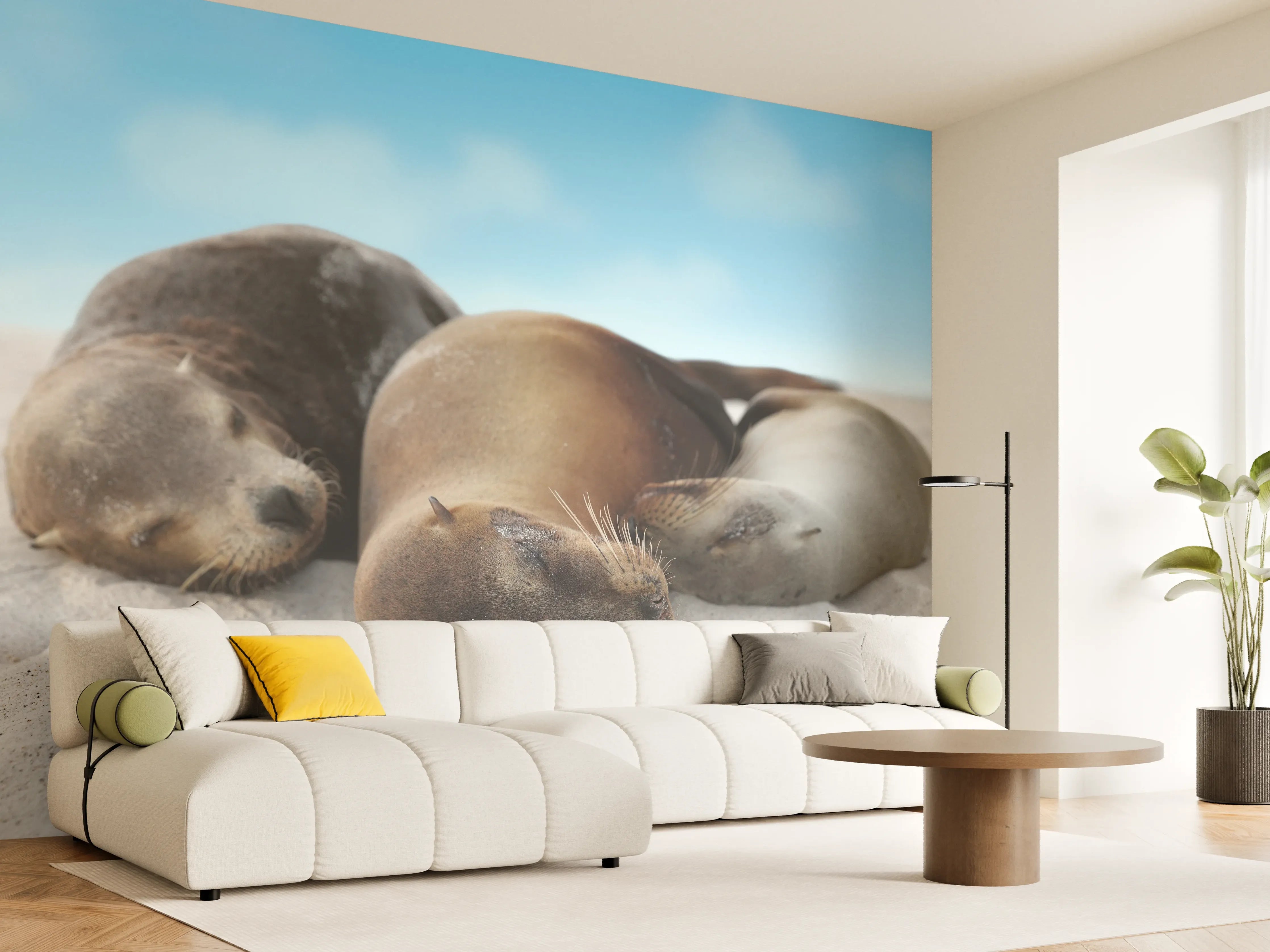 Wandverkleidung Wohnzimmer - Seelöwen im Sand liegend