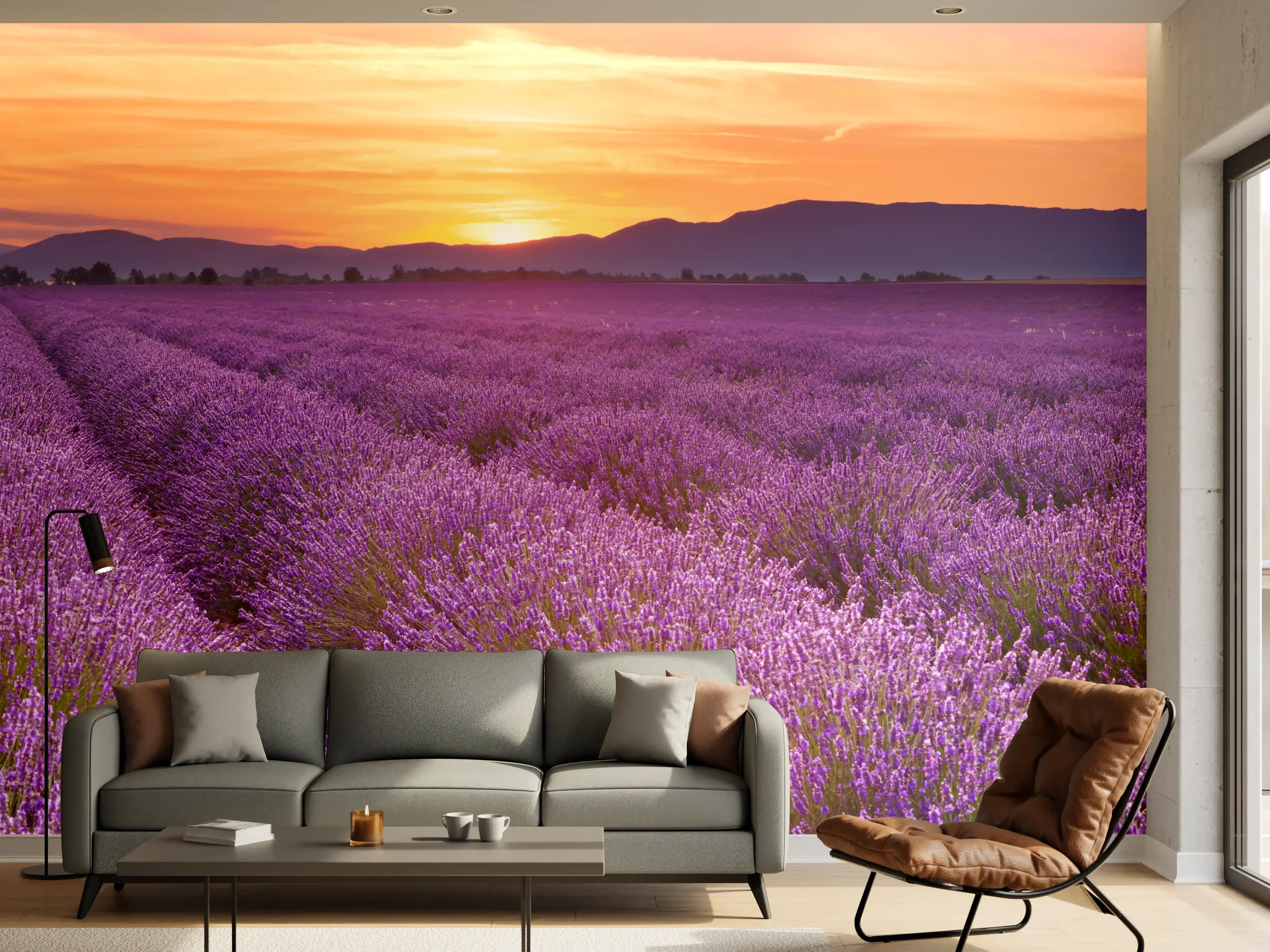 Wandverkleidung Wohnzimmer - Sonnenaufgang über Lavendelfelder - Provence