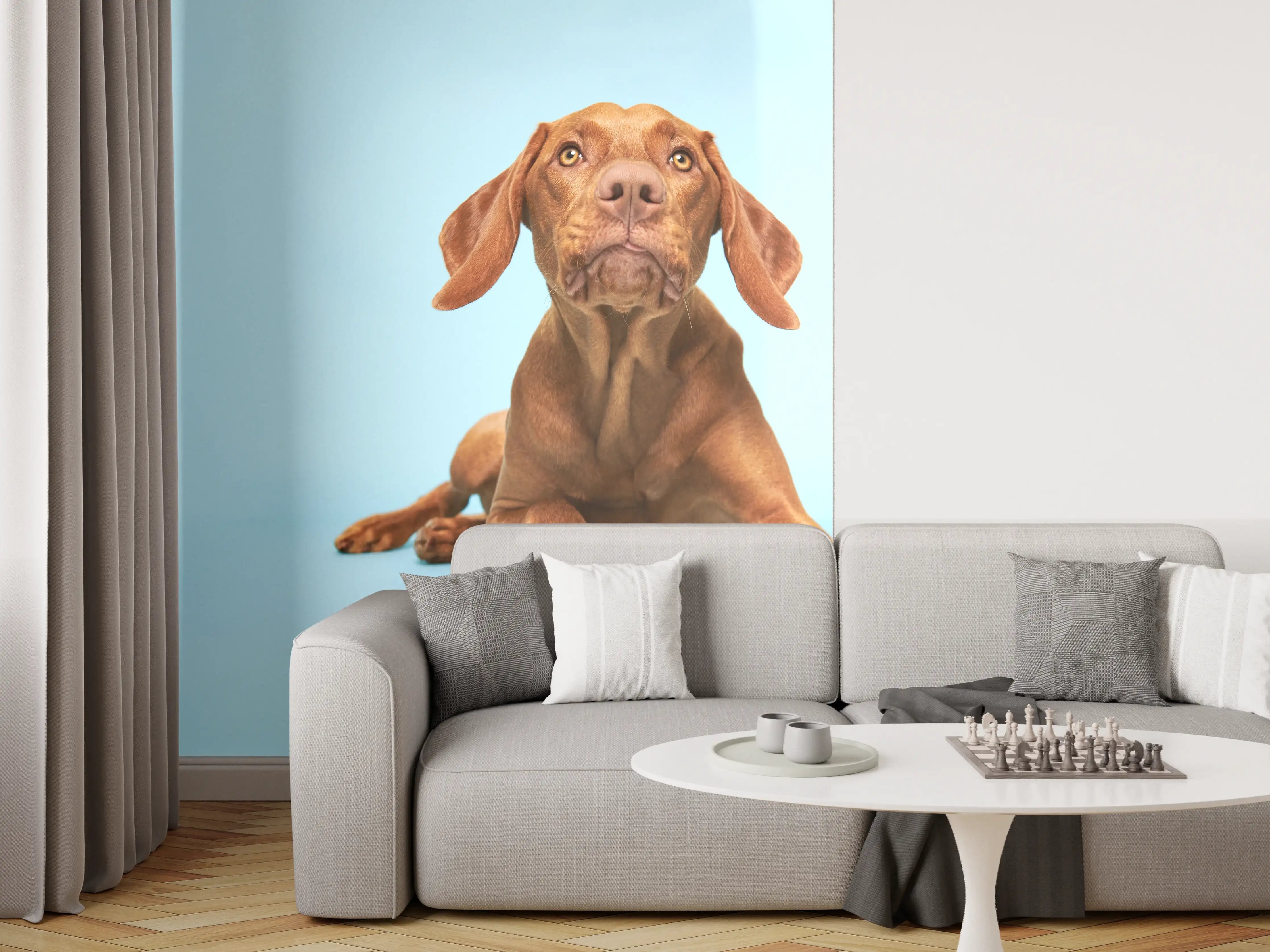 Wandverkleidung Wohnzimmer - Ungarischer Vizsla-Welpe Portrait
