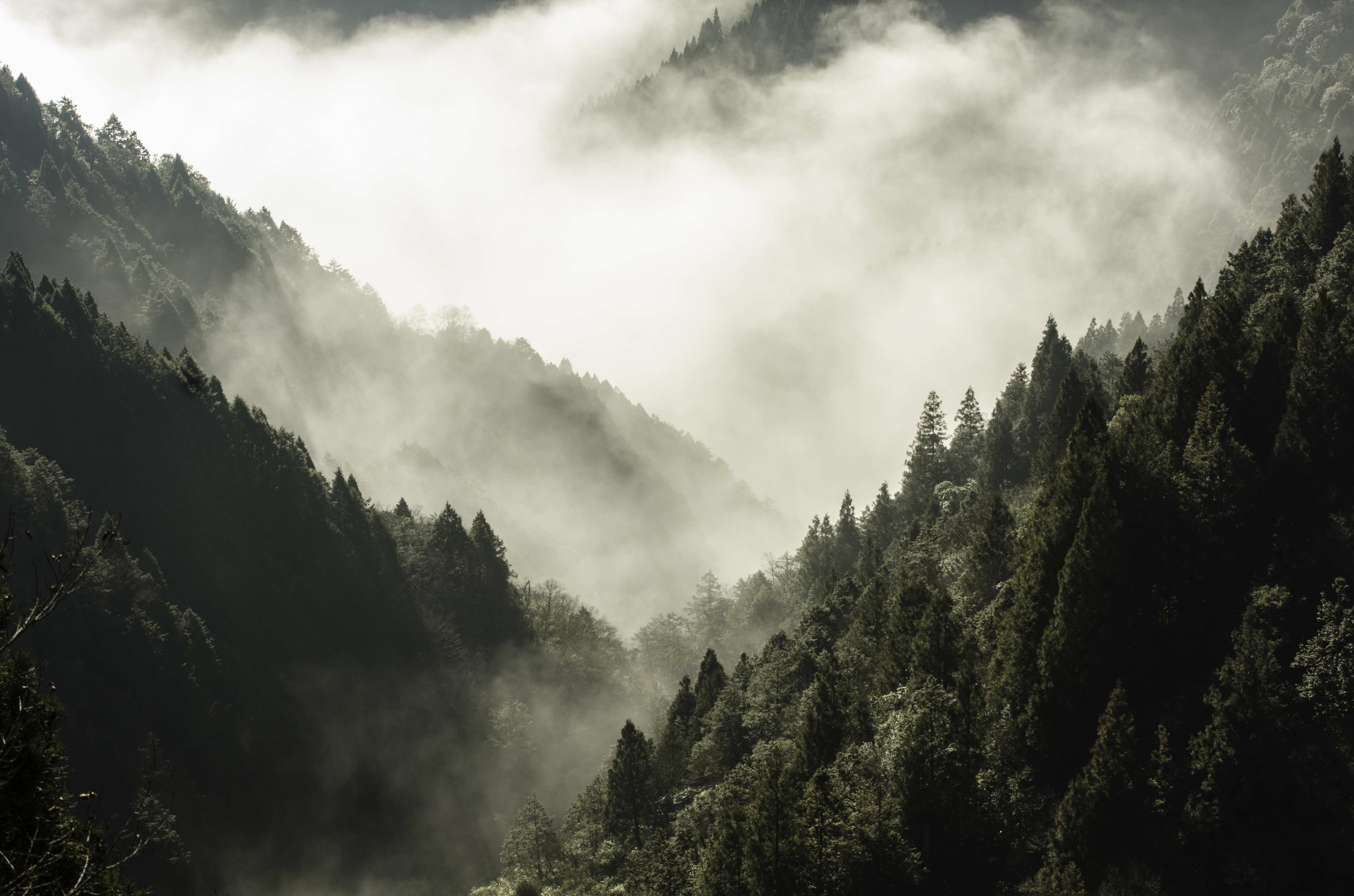 Wandverkleidung Wohnzimmer-Verhüllte Gipfel im silbernen Nebel