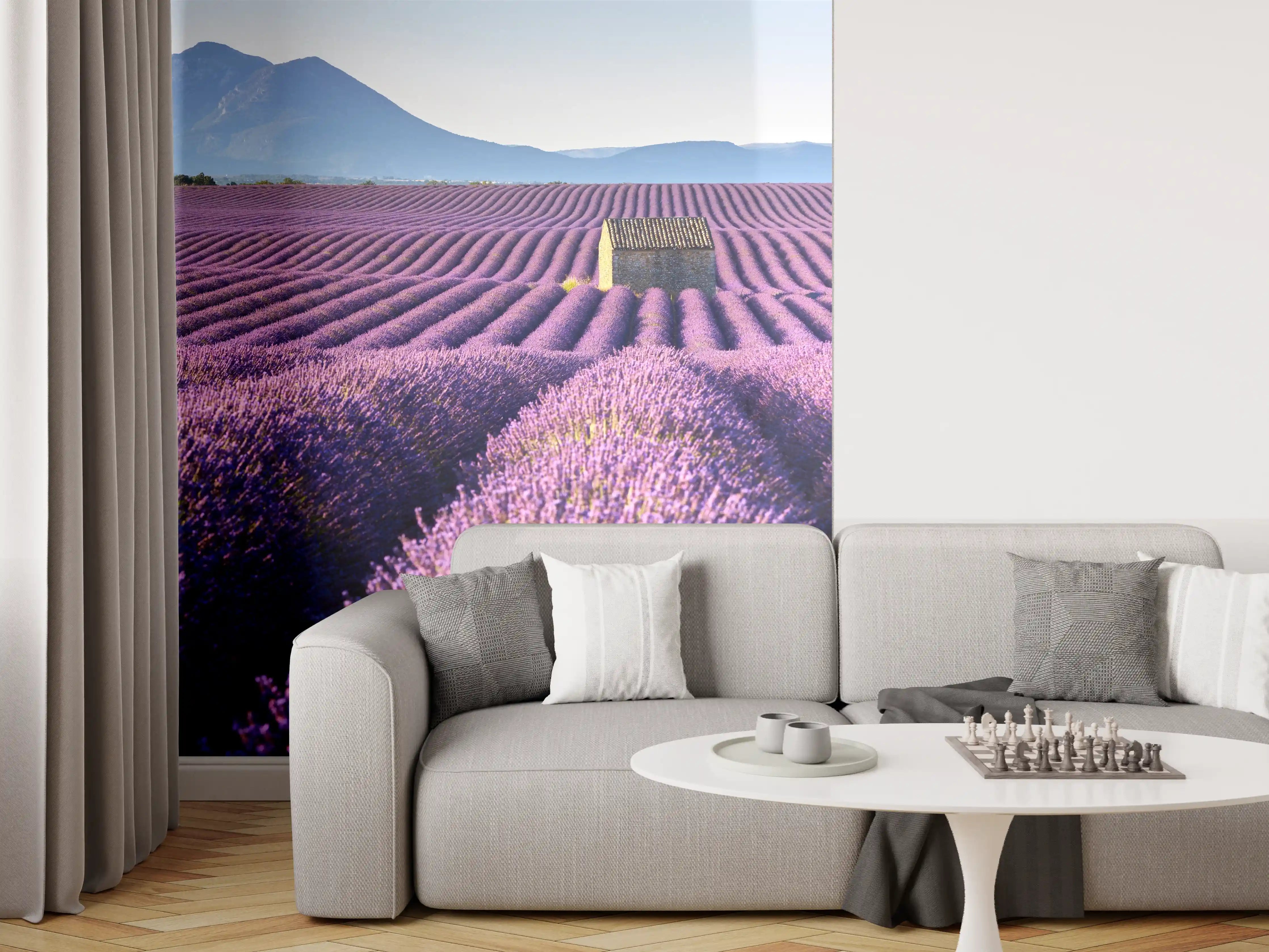 Wandverkleidung Wohnzimmer - Violette Lavendelfelder mit Bergkulisse