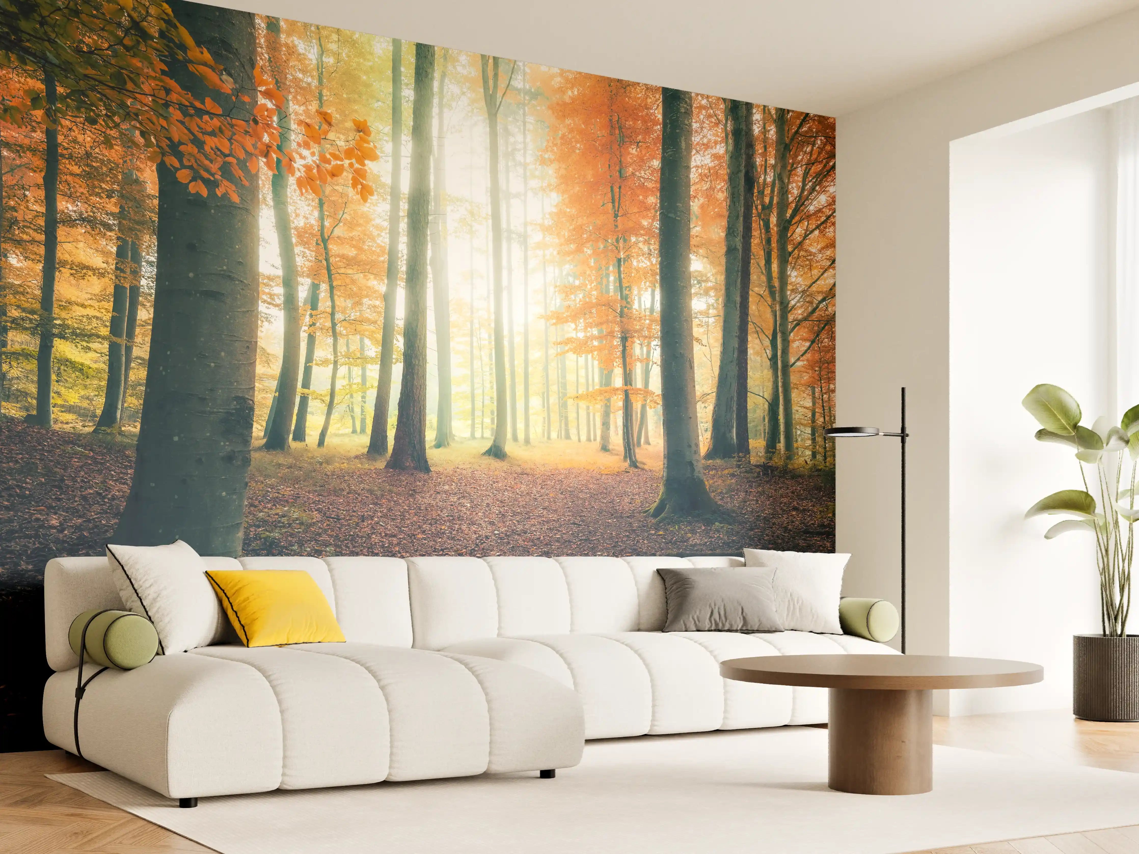 Wandverkleidung Wohnzimmer - Wald im Goldlicht der Herbstsonne