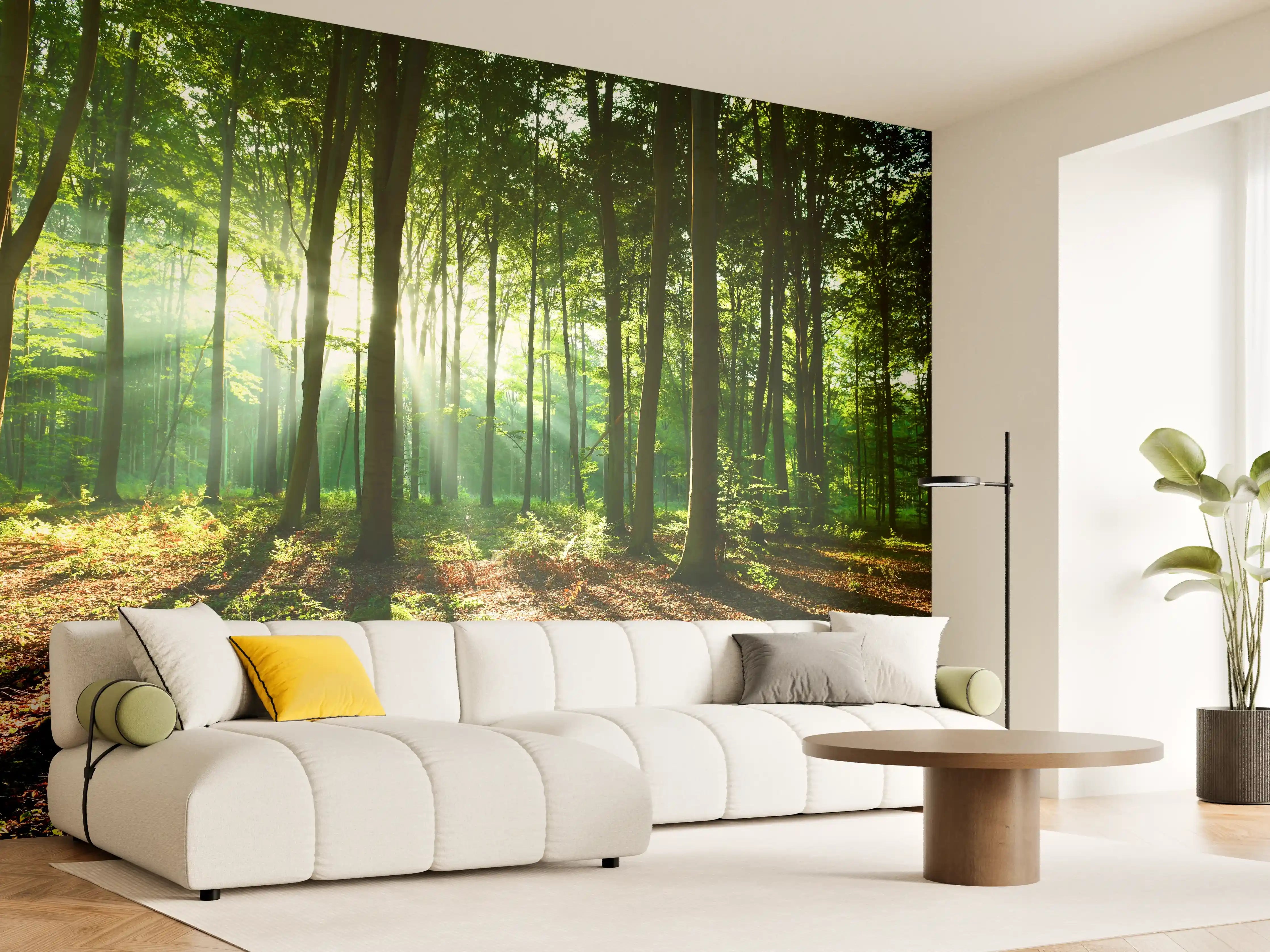 Wandverkleidung Wohnzimmer - Waldliebe im Sonnenlicht