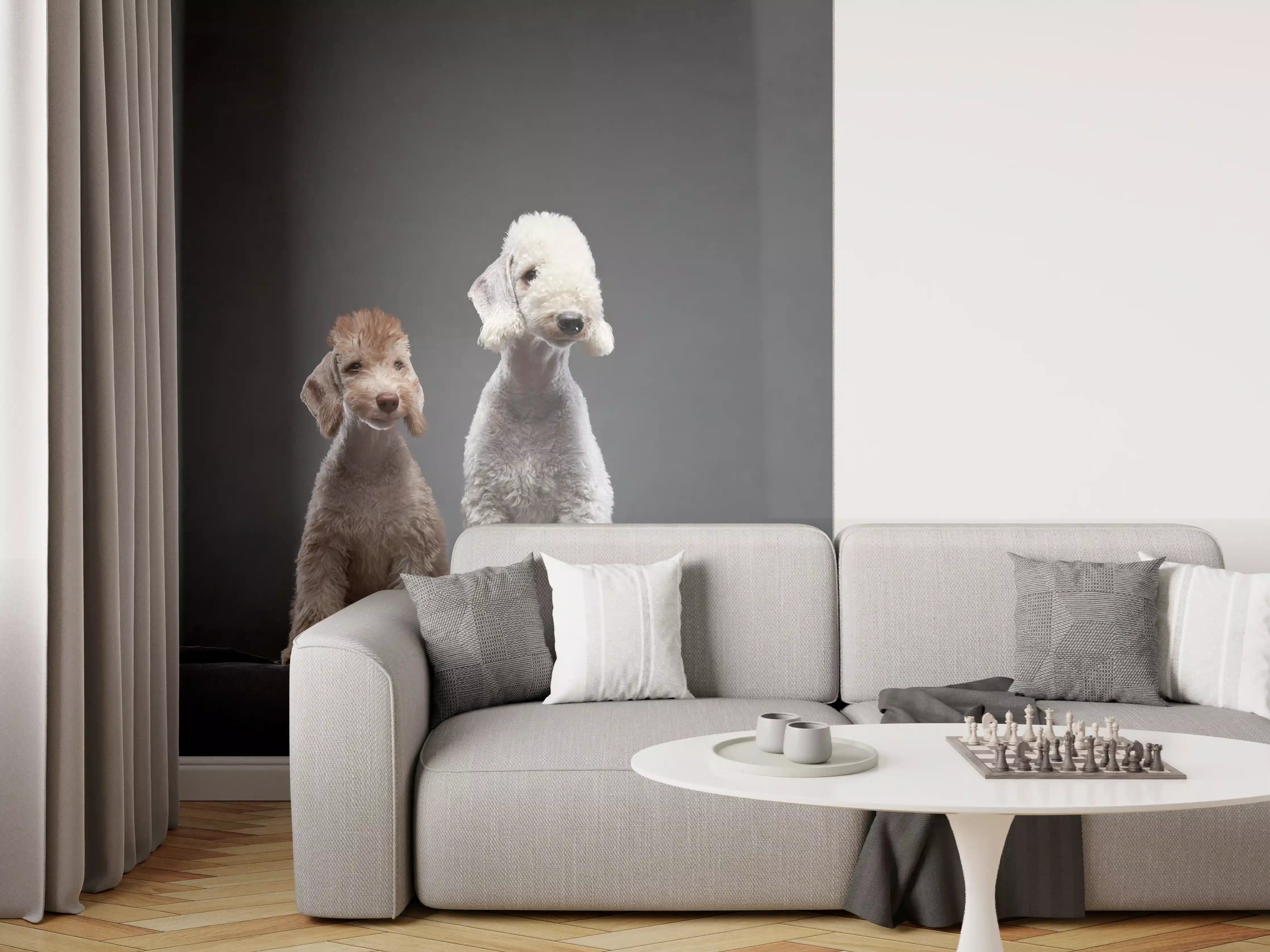 Wandverkleidung Wohnzimmer - Welpe und erwachsener Bedlington Terrier
