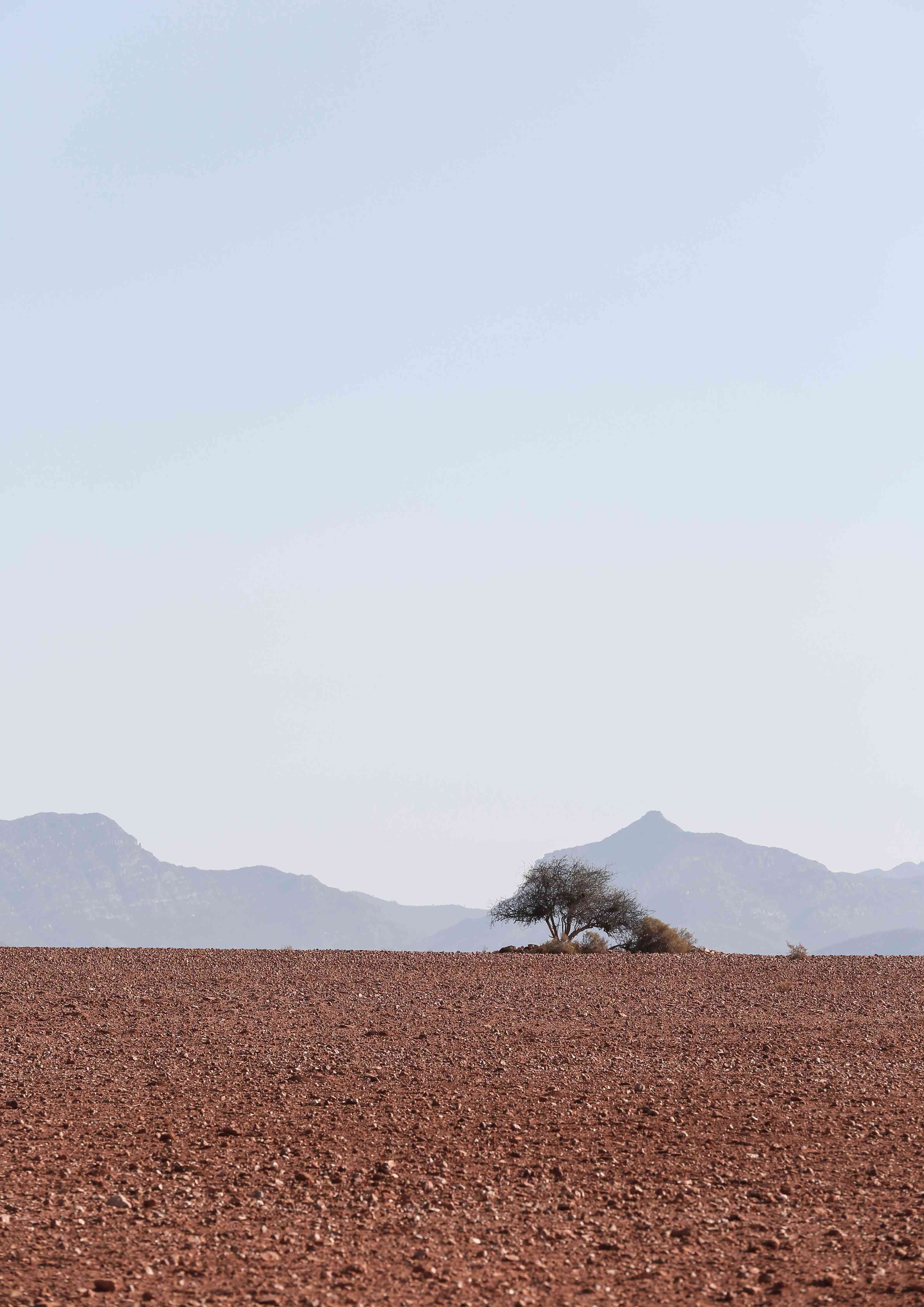 Wandverkleidung Wohnzimmer-Wüstenlandschaft mit einzelner Baum