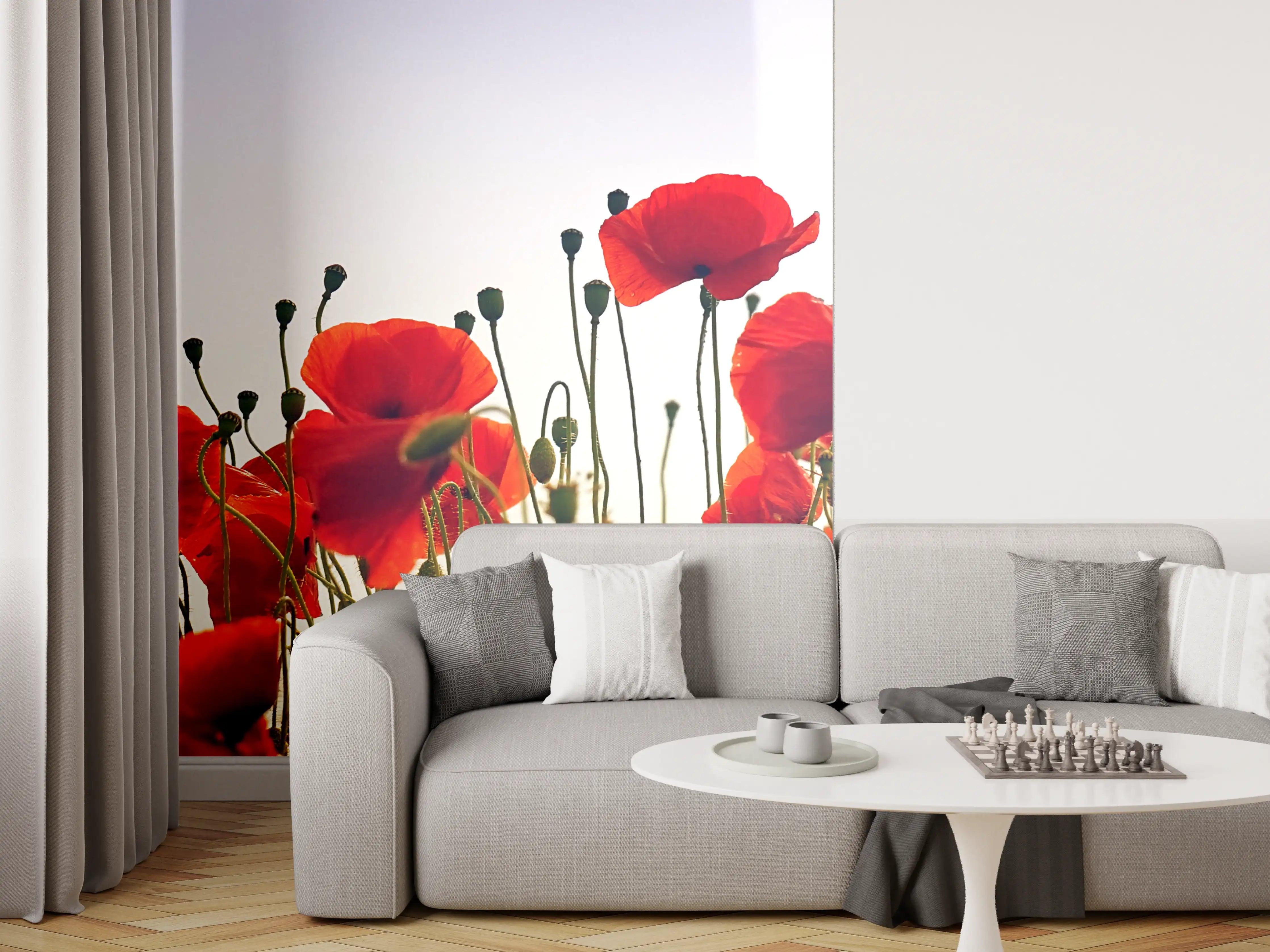 Wandverkleidung Wohnzimmer - Wunderschöne Mohnblumen im Sonnenlicht