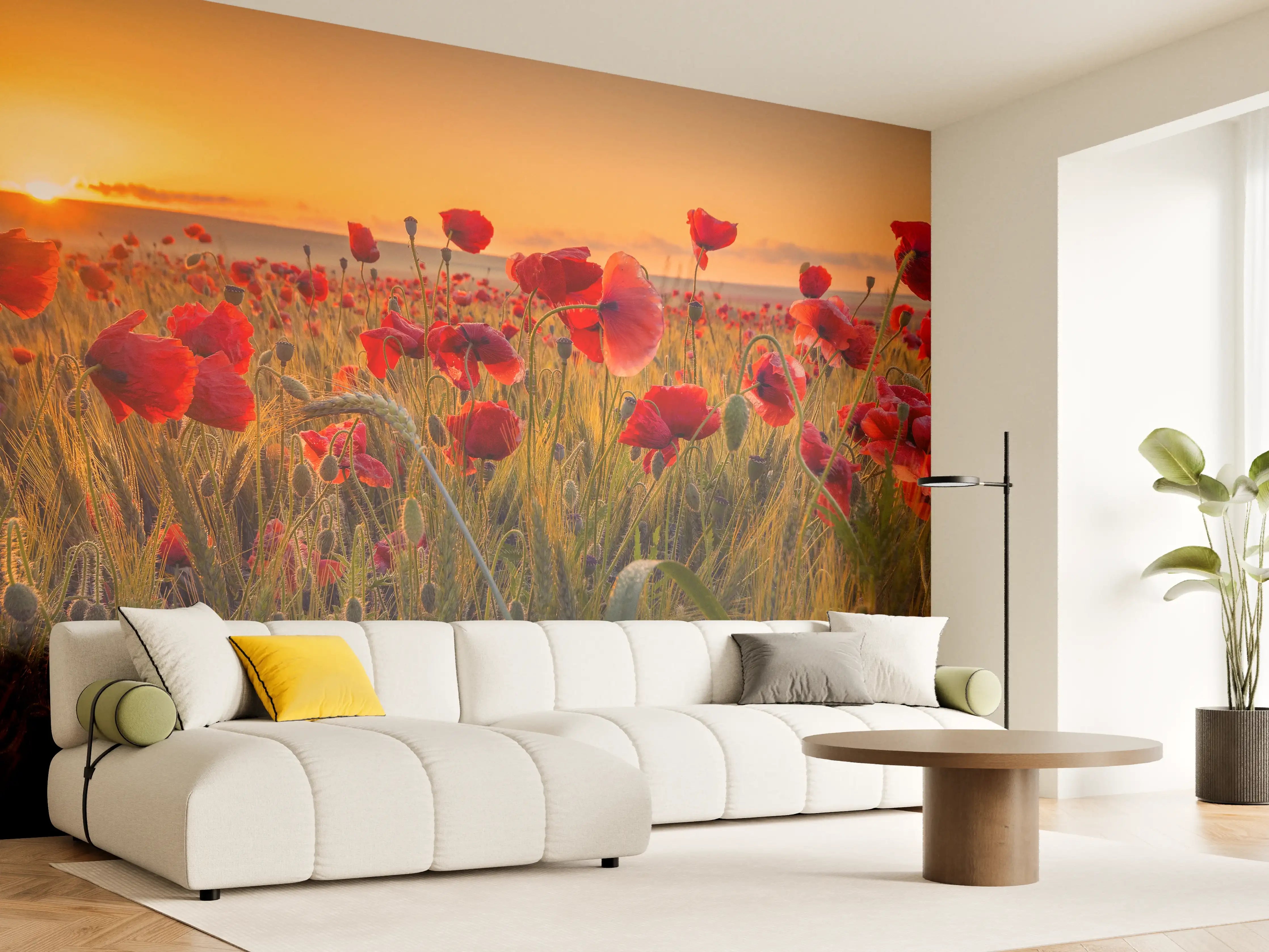 Wandverkleidung Wohnzimmer - Wunderschöner Mohnblumen-Sonnenuntergang