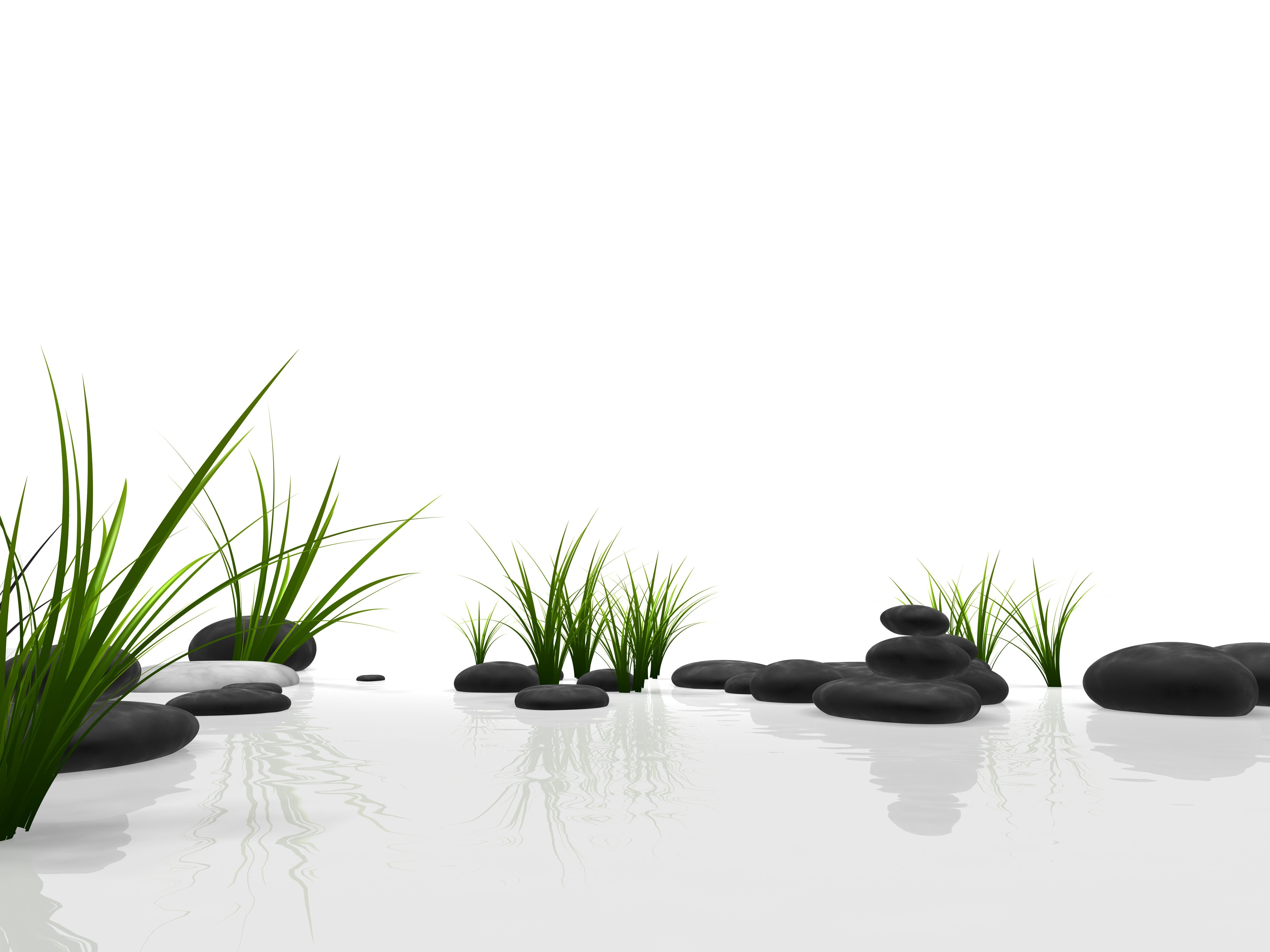 Wandverkleidung Wohnzimmer-Zen Garten mit schwarzen Steinen und grünem Moos