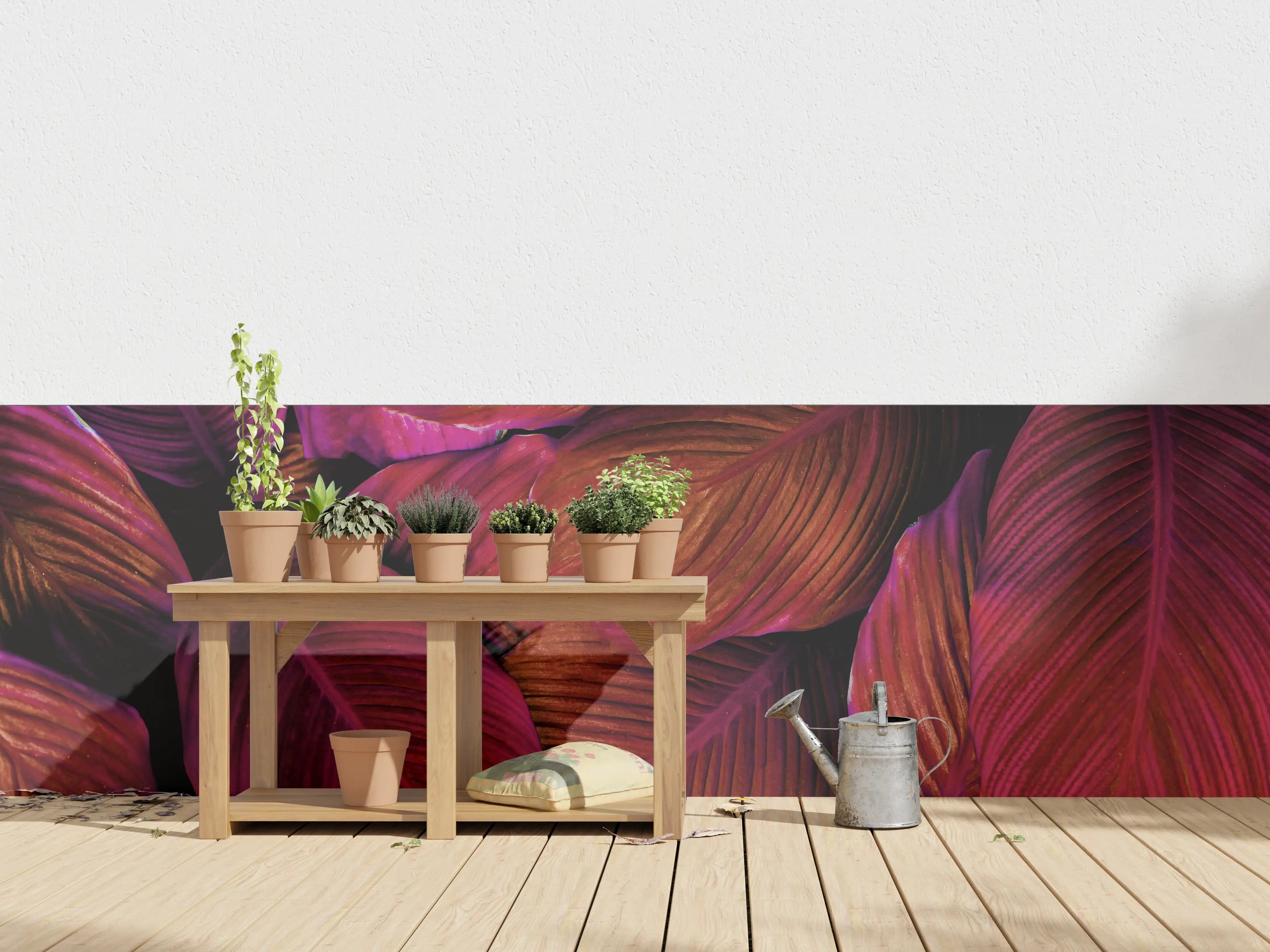 Wandverkleidung außen - Spathiphyllum cannifolium - Rosa Blätter