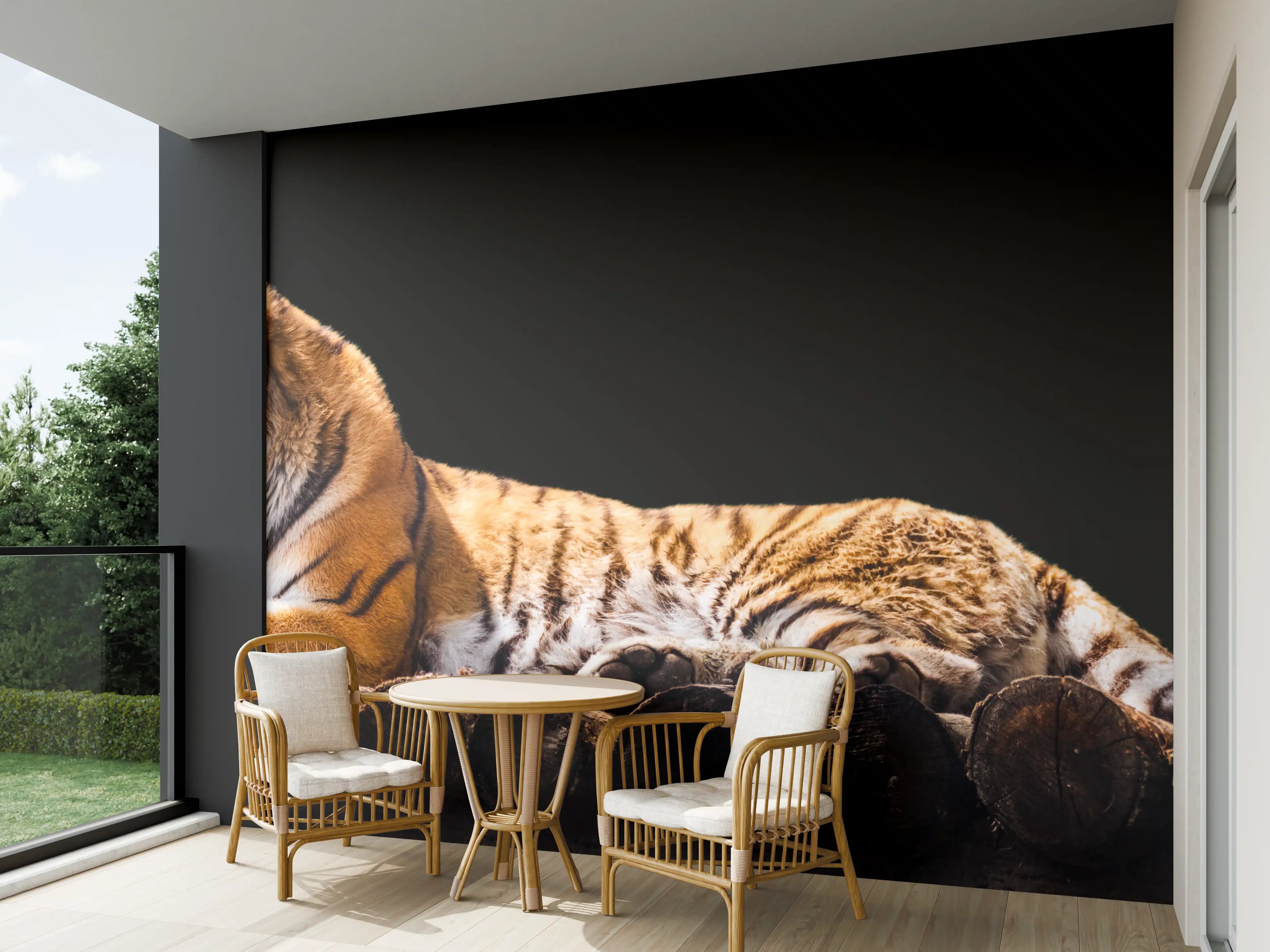 Wandverkleidung außen - Amurtiger liegend auf Holzdeck mit Schwarzem Hintergrund