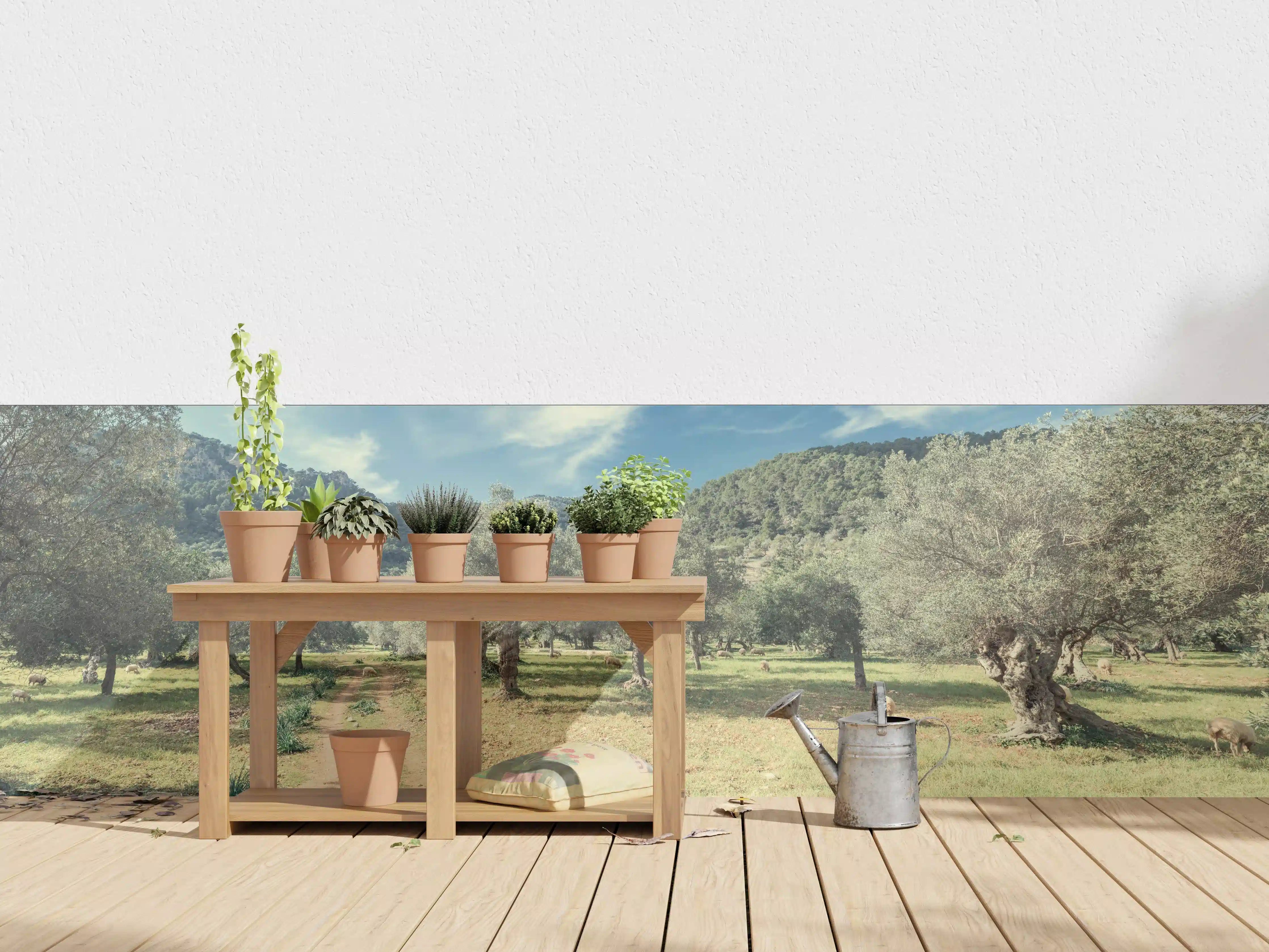Wandverkleidung außen - Bewaldete Hügellandschaft mit Olivenbäumen
