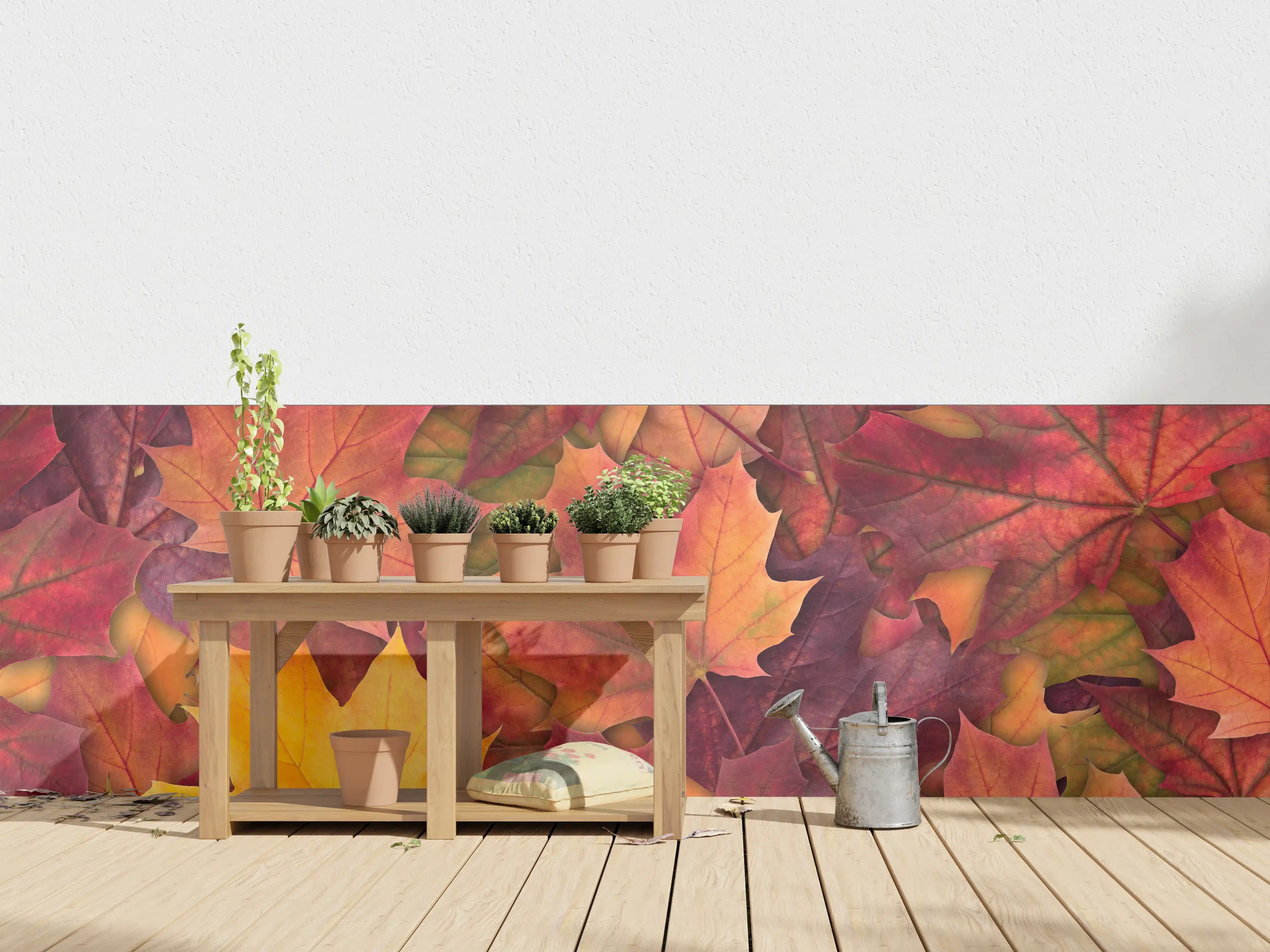 Wandverkleidung außen - Bunte Herbst Ahornbaum Blätter