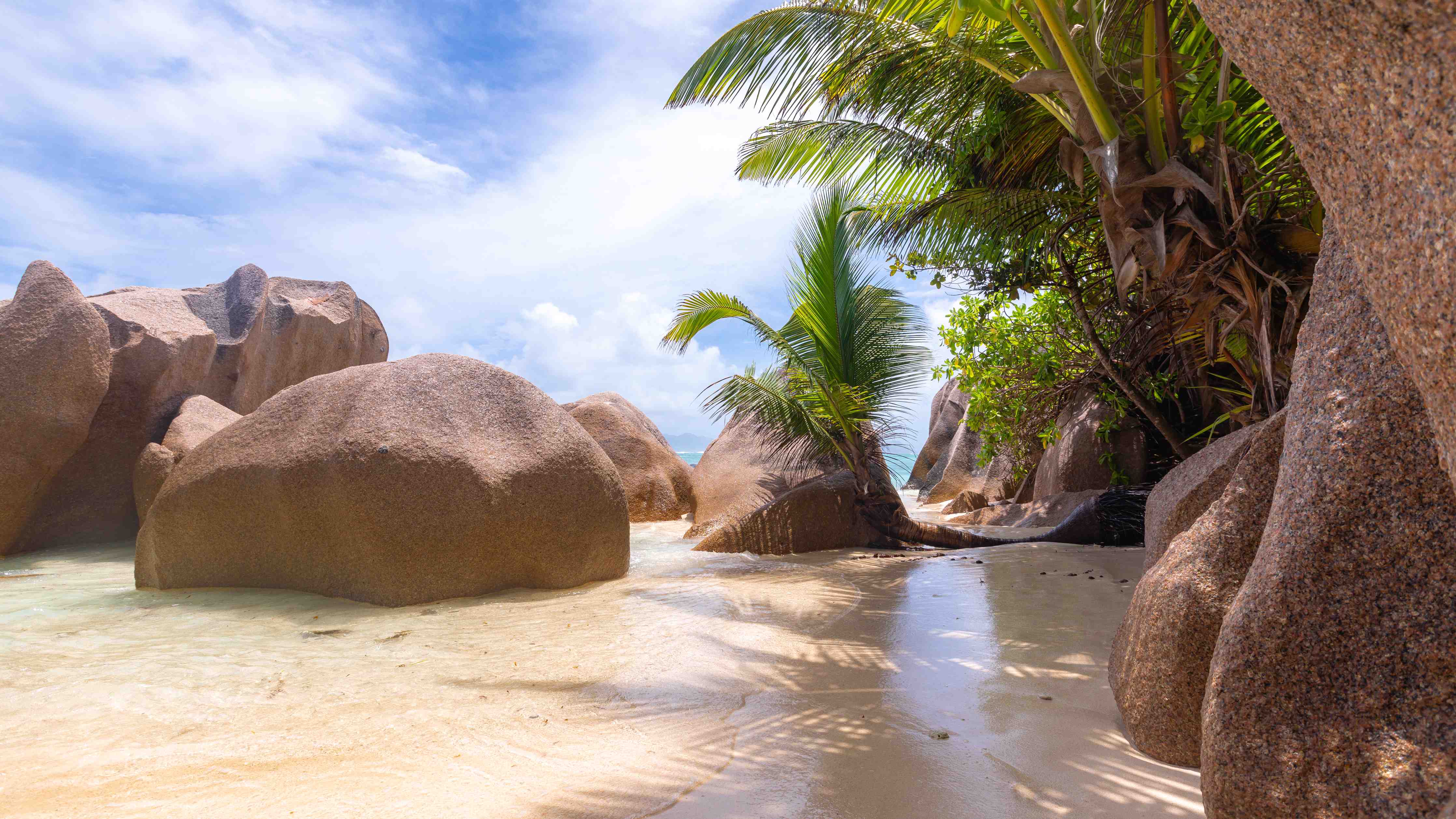 Wandverkleidung außen-Der Traumstrand - Anse Source d Argent