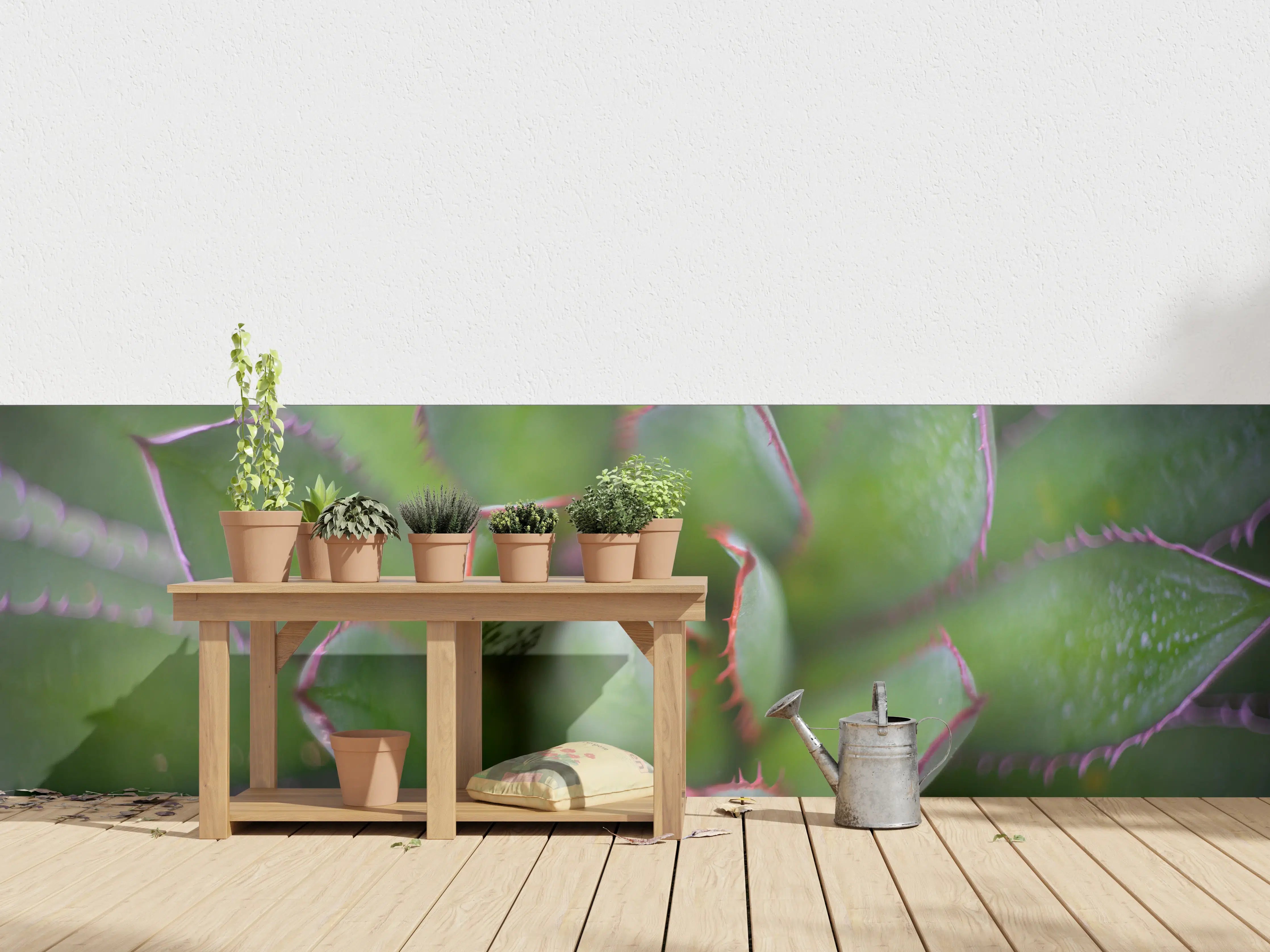 Wandverkleidung außen - Detailreiche Grüne Agave Pflanze