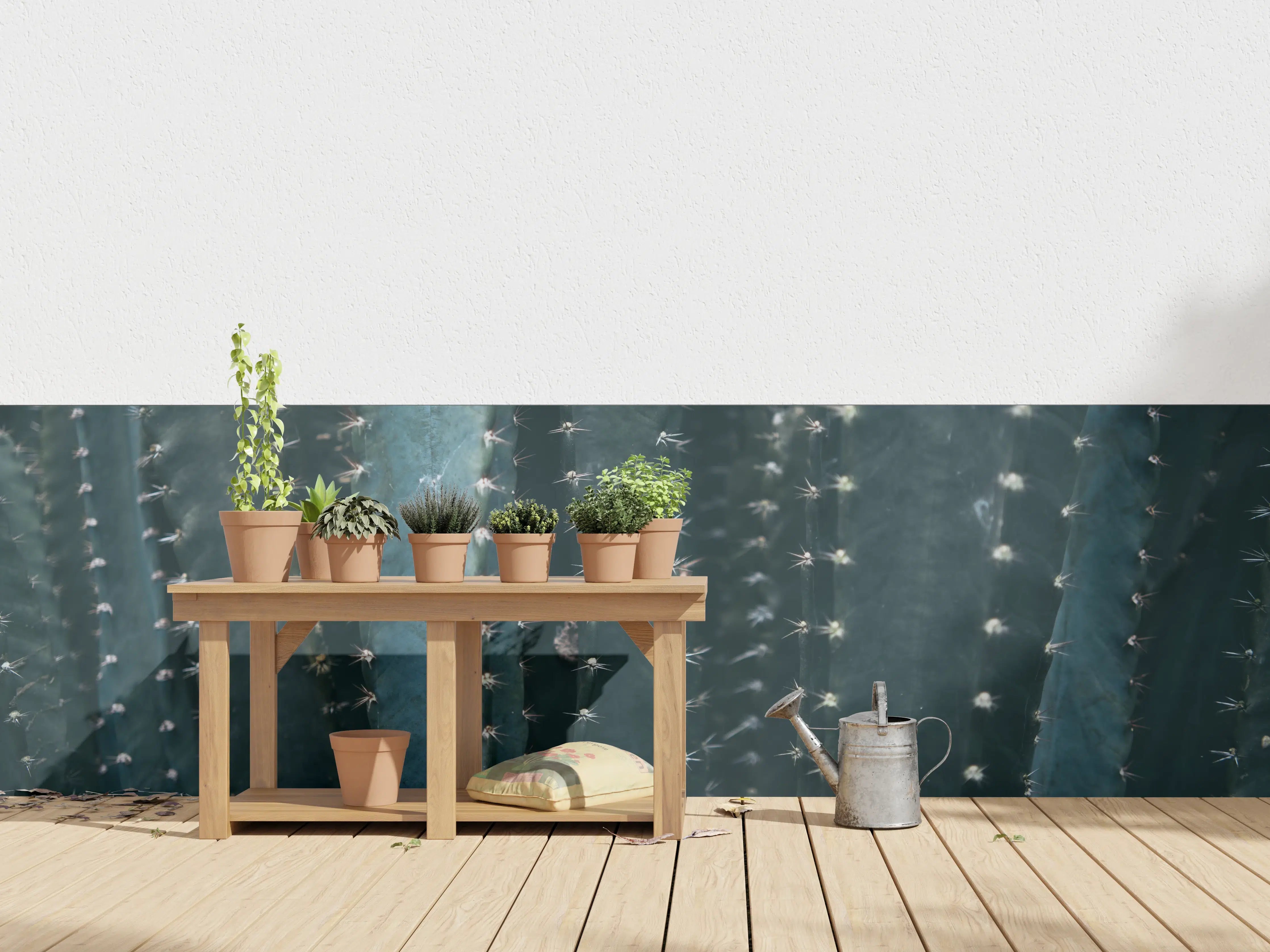 Wandverkleidung außen - Dunkle Kaktusstämme mit Stacheln