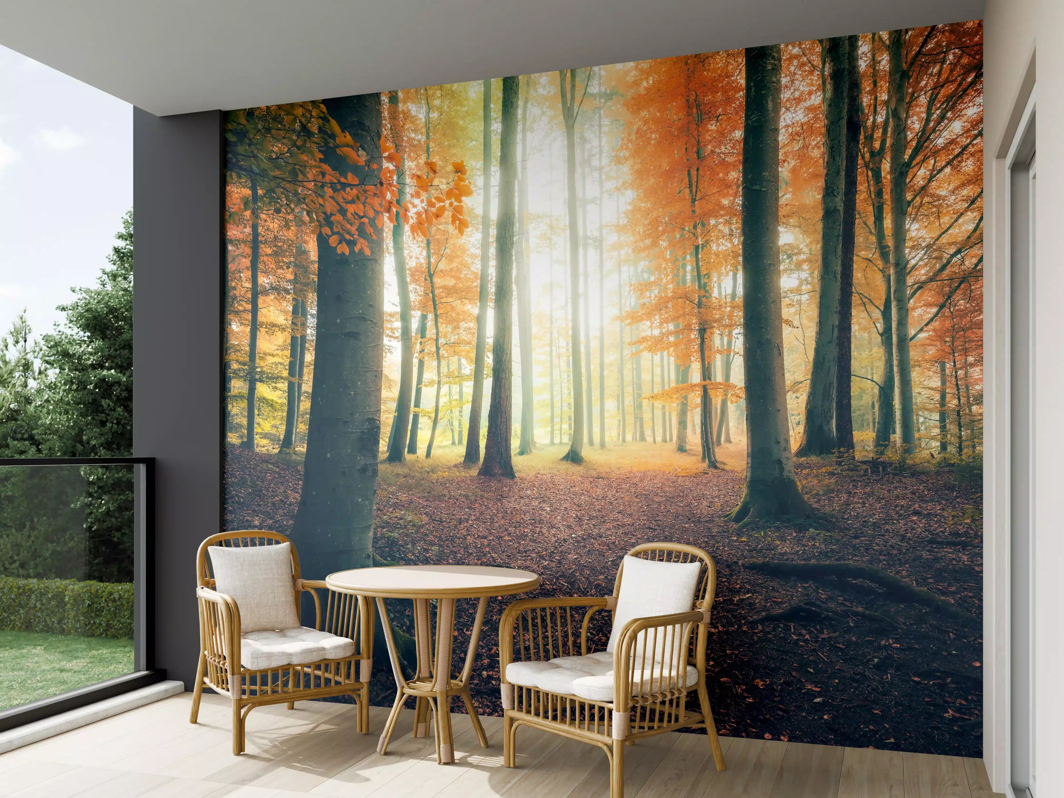 Wandverkleidung außen - Dunkler Wald im Herbst