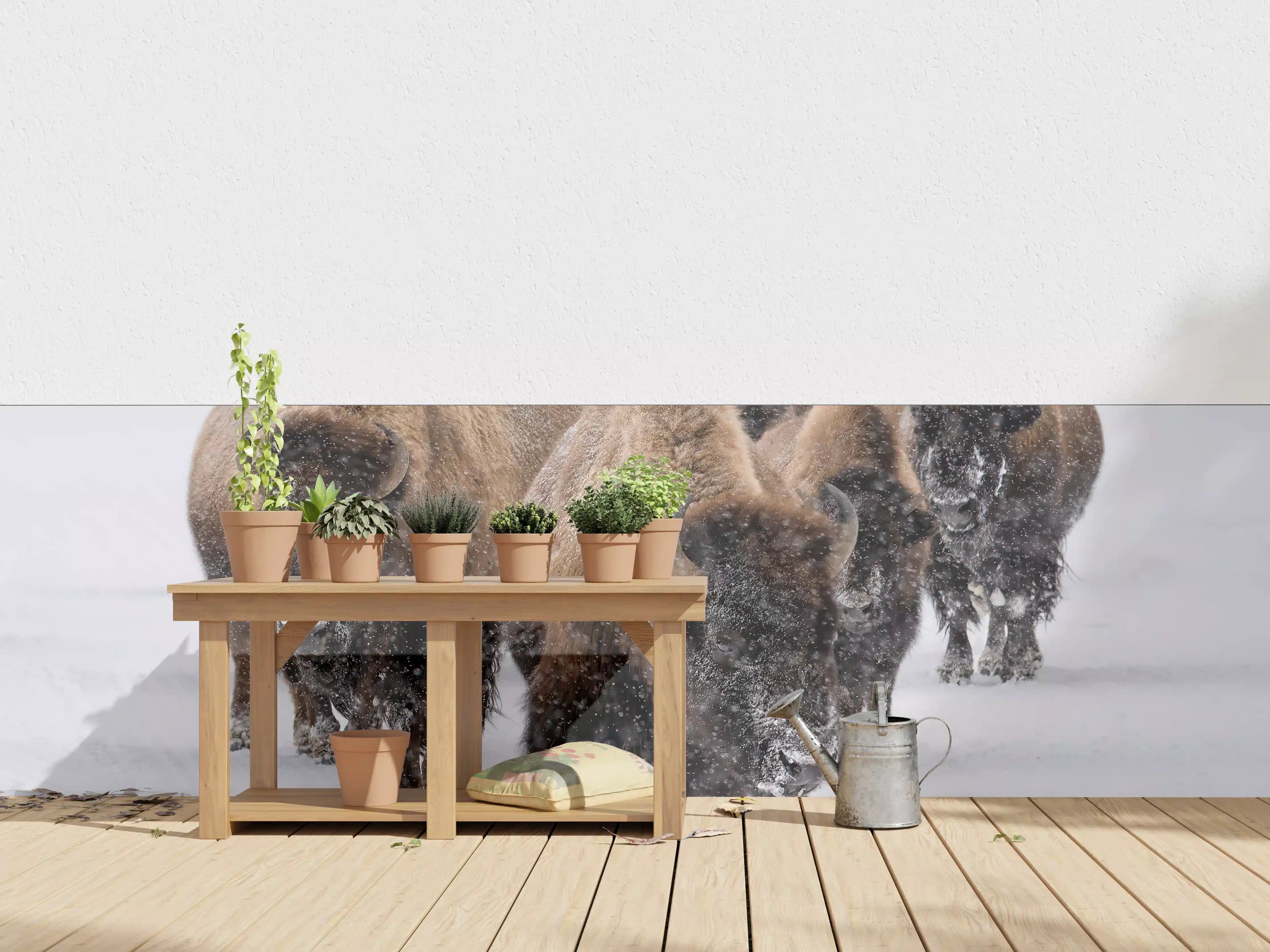 Wandverkleidung außen - Eine Bison Herde