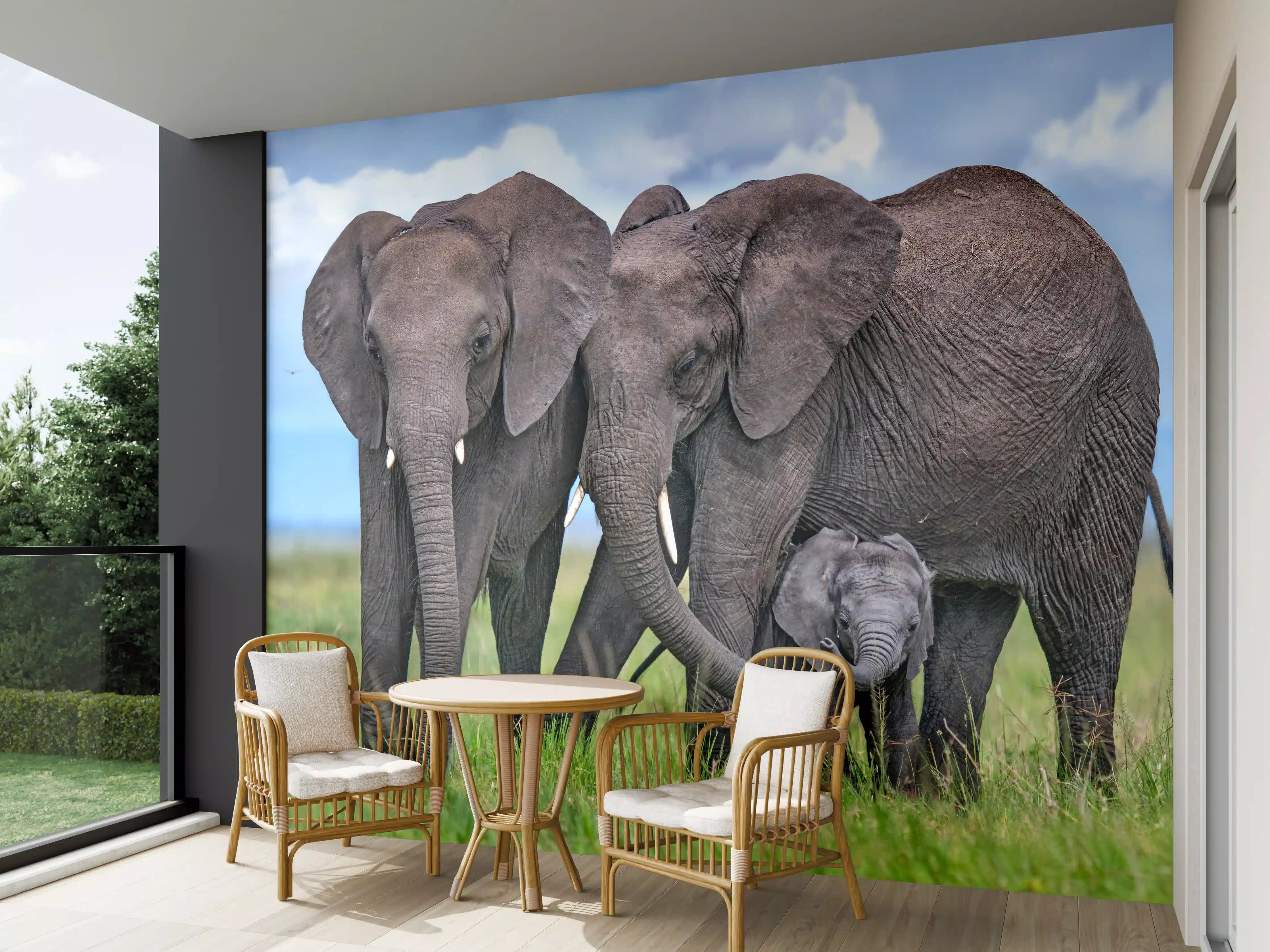 Wandverkleidung außen - Elefanten Familie - Afrika