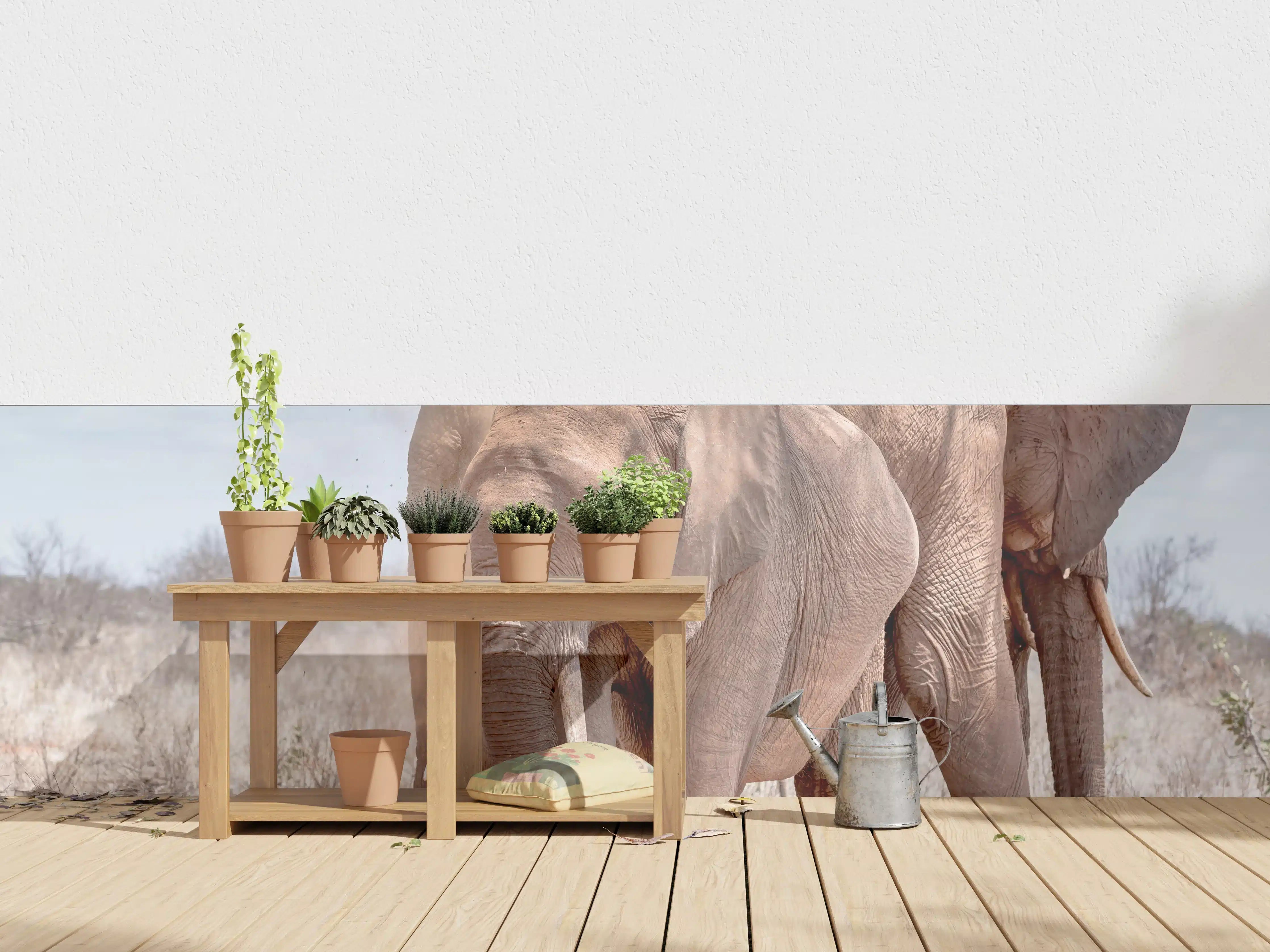 Wandverkleidung außen - Elefanten von Tsavo