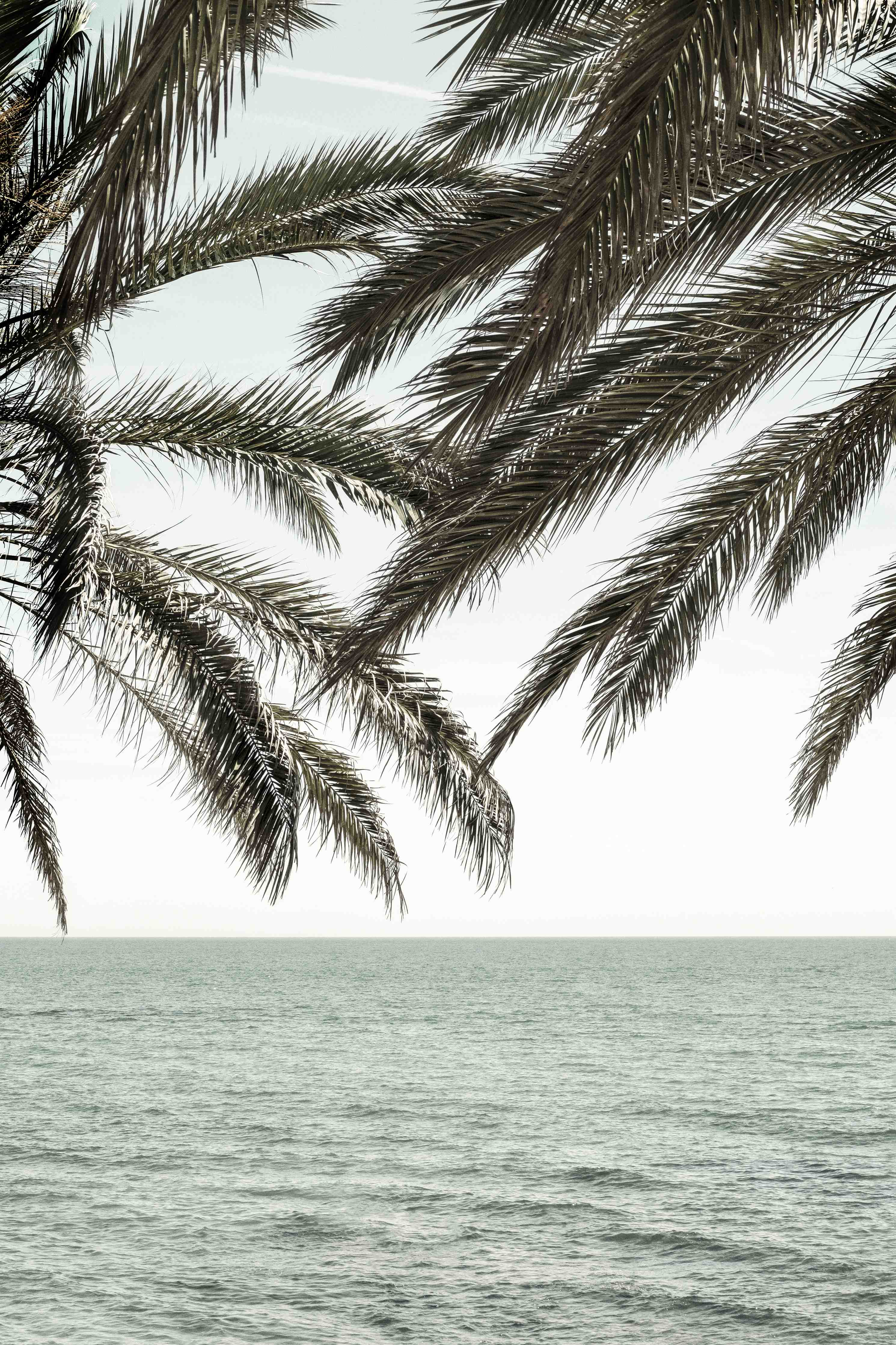 Wandverkleidung außen-Entspannter Blick auf das Meer mit Palmen