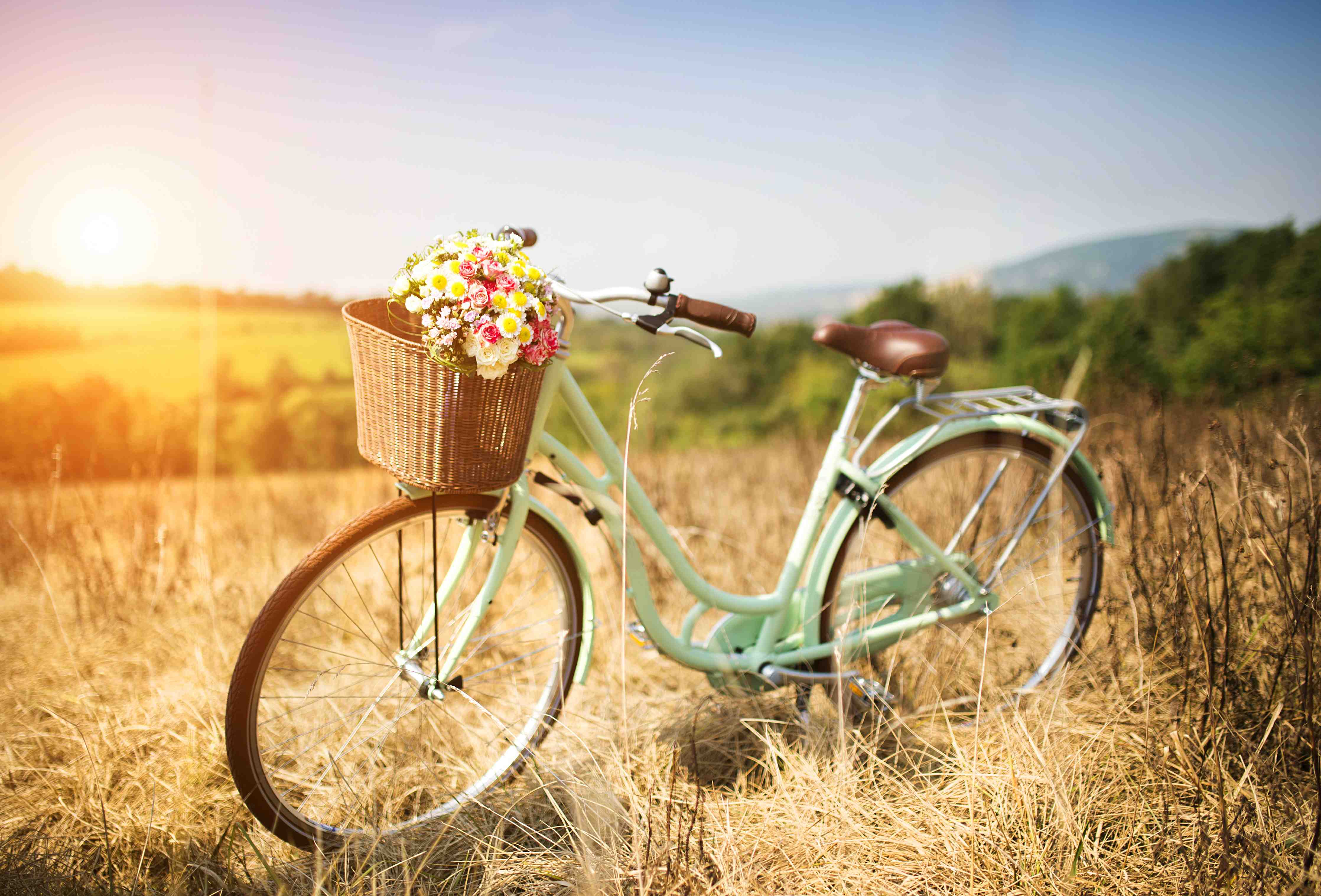 Wandverkleidung außen-Fahrrad mit Blumenkorb auf Wiese