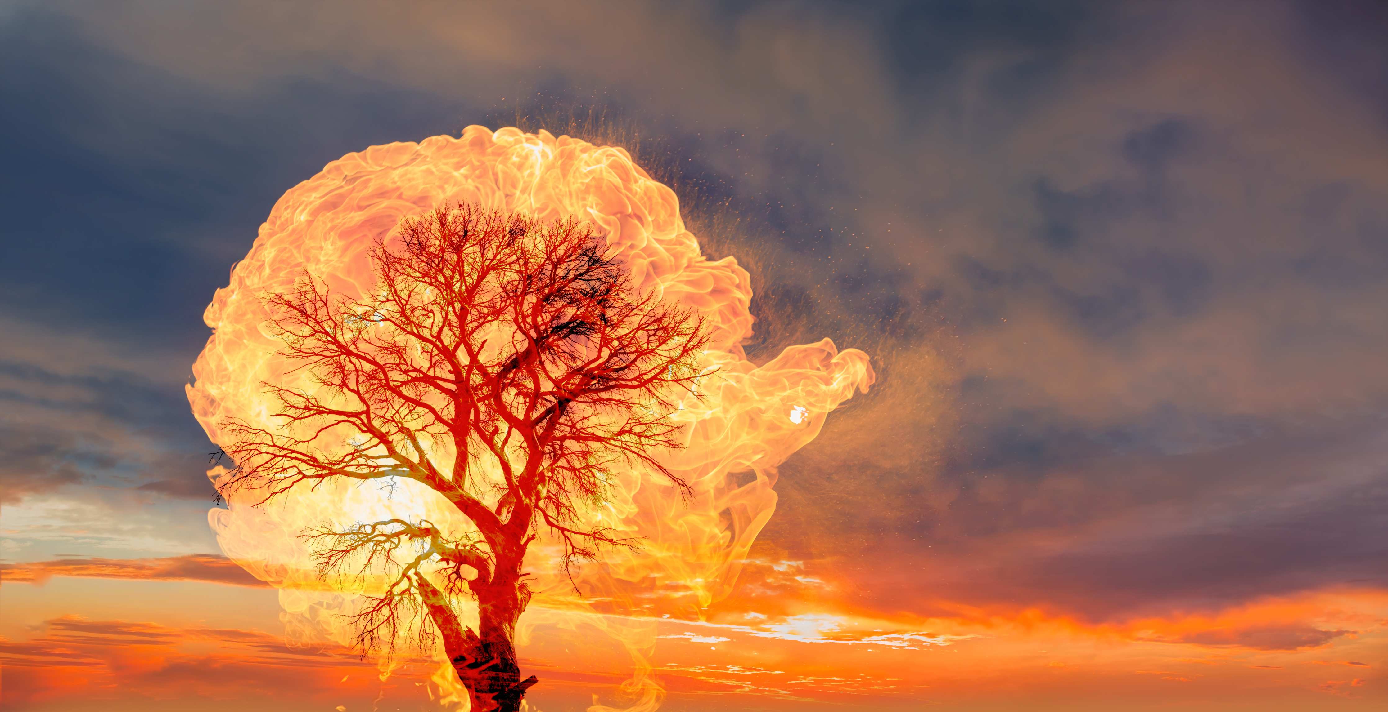 Wandverkleidung außen-Flammender Baum bei Gewitter