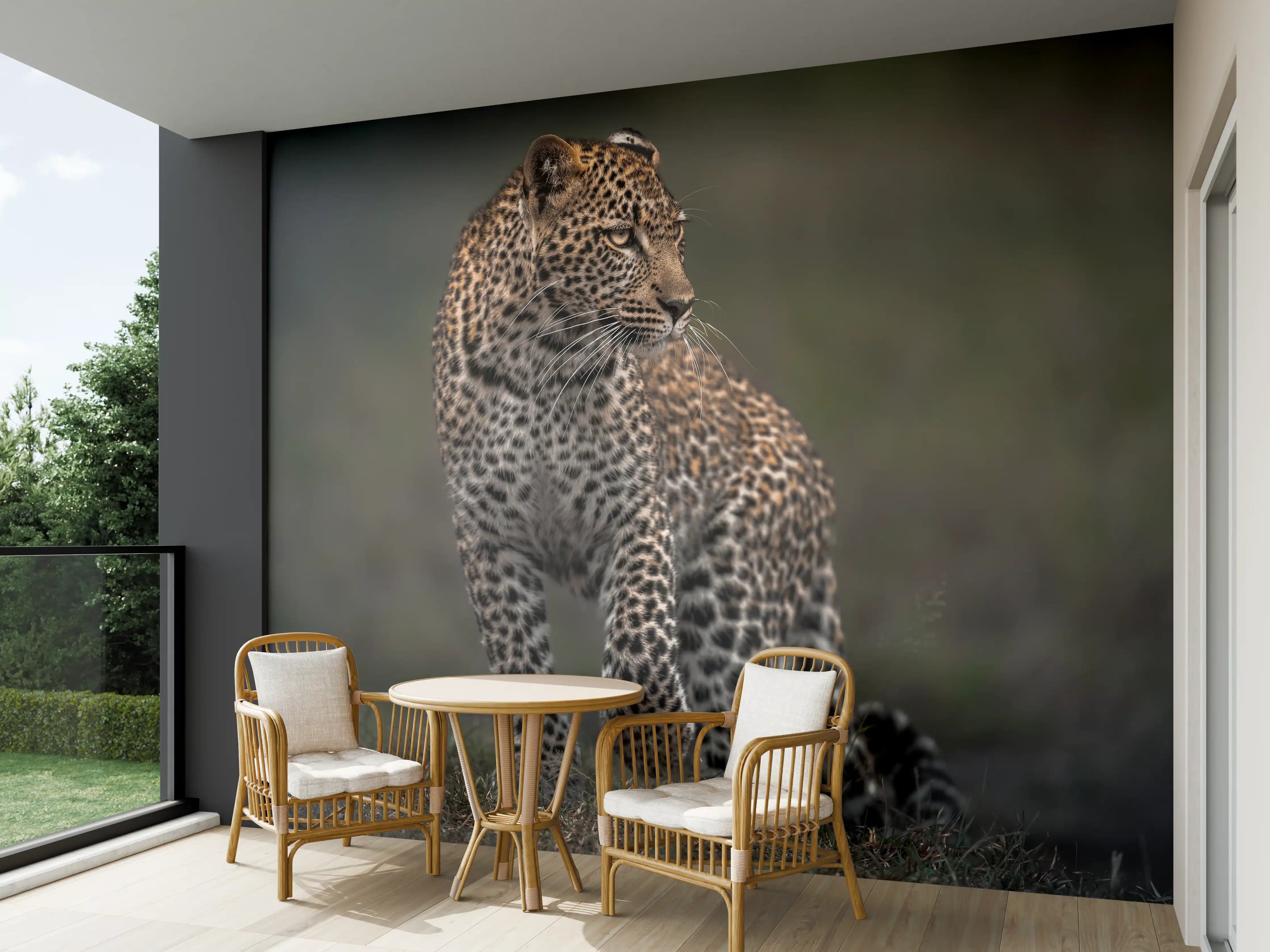 Wandverkleidung außen - Fokussierter Leopard - Savanne