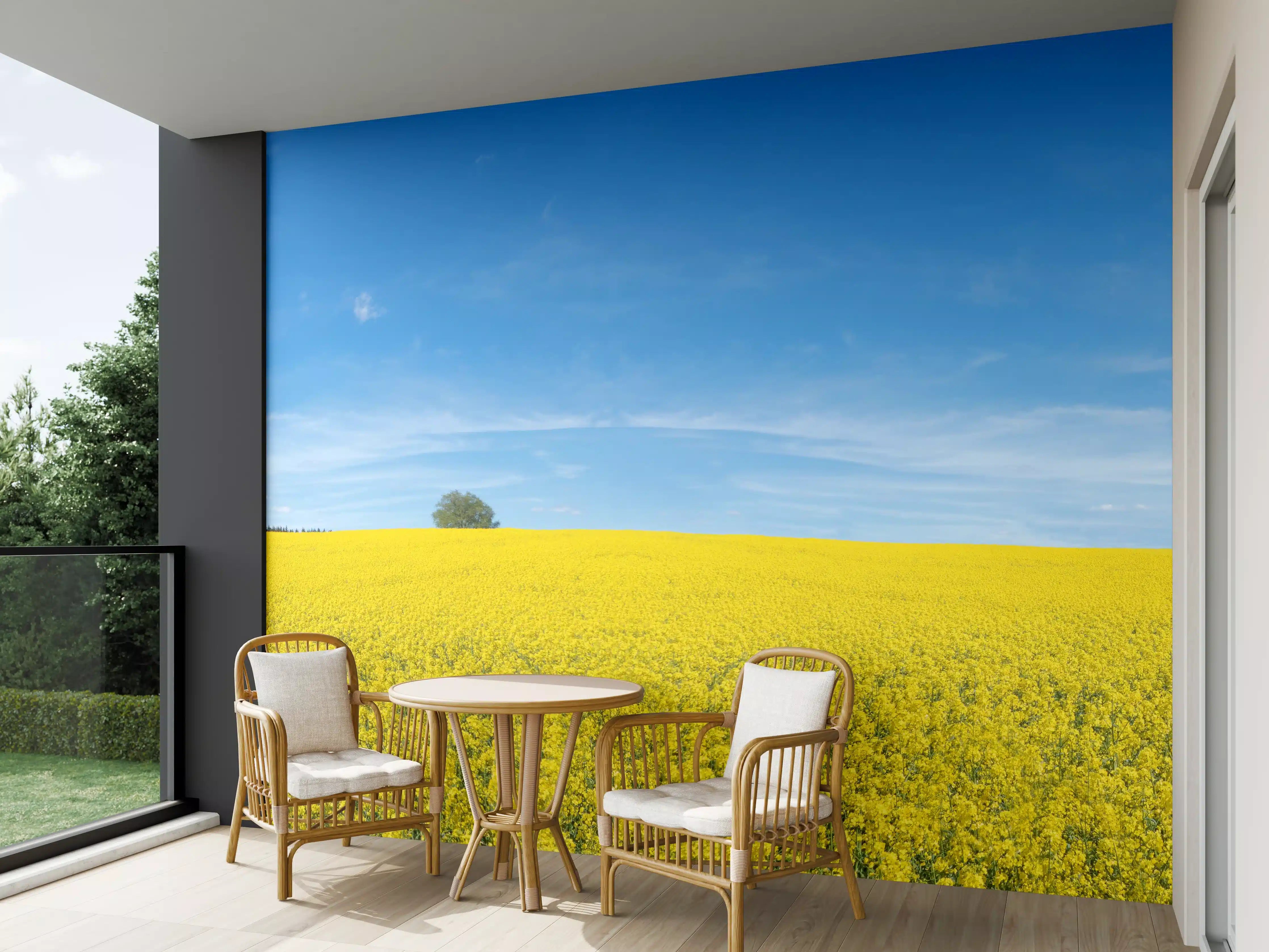 Wandverkleidung außen - Gelbes Rapsfeld blauer Himmel