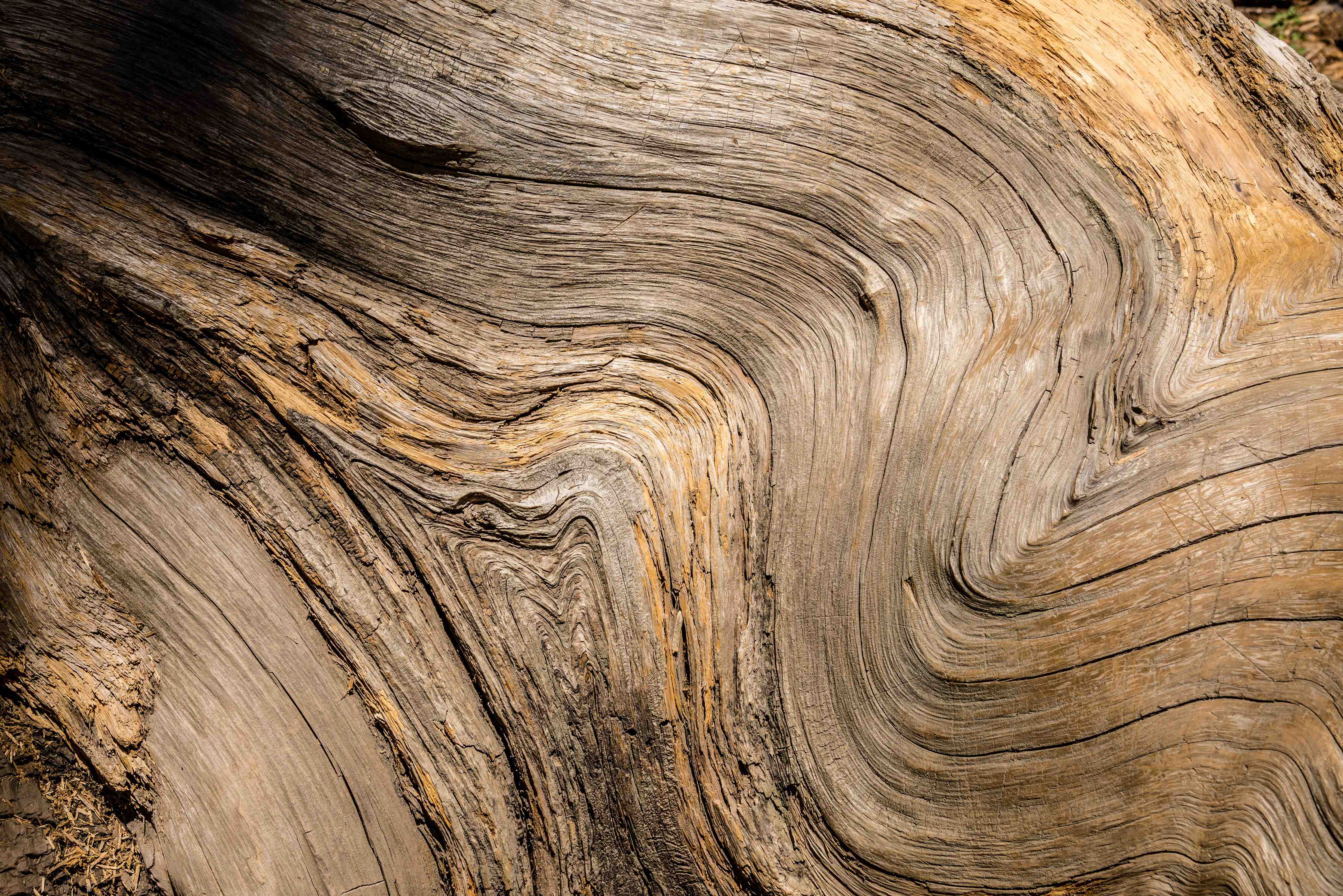 Wandverkleidung außen-Geschwungenes Naturholz