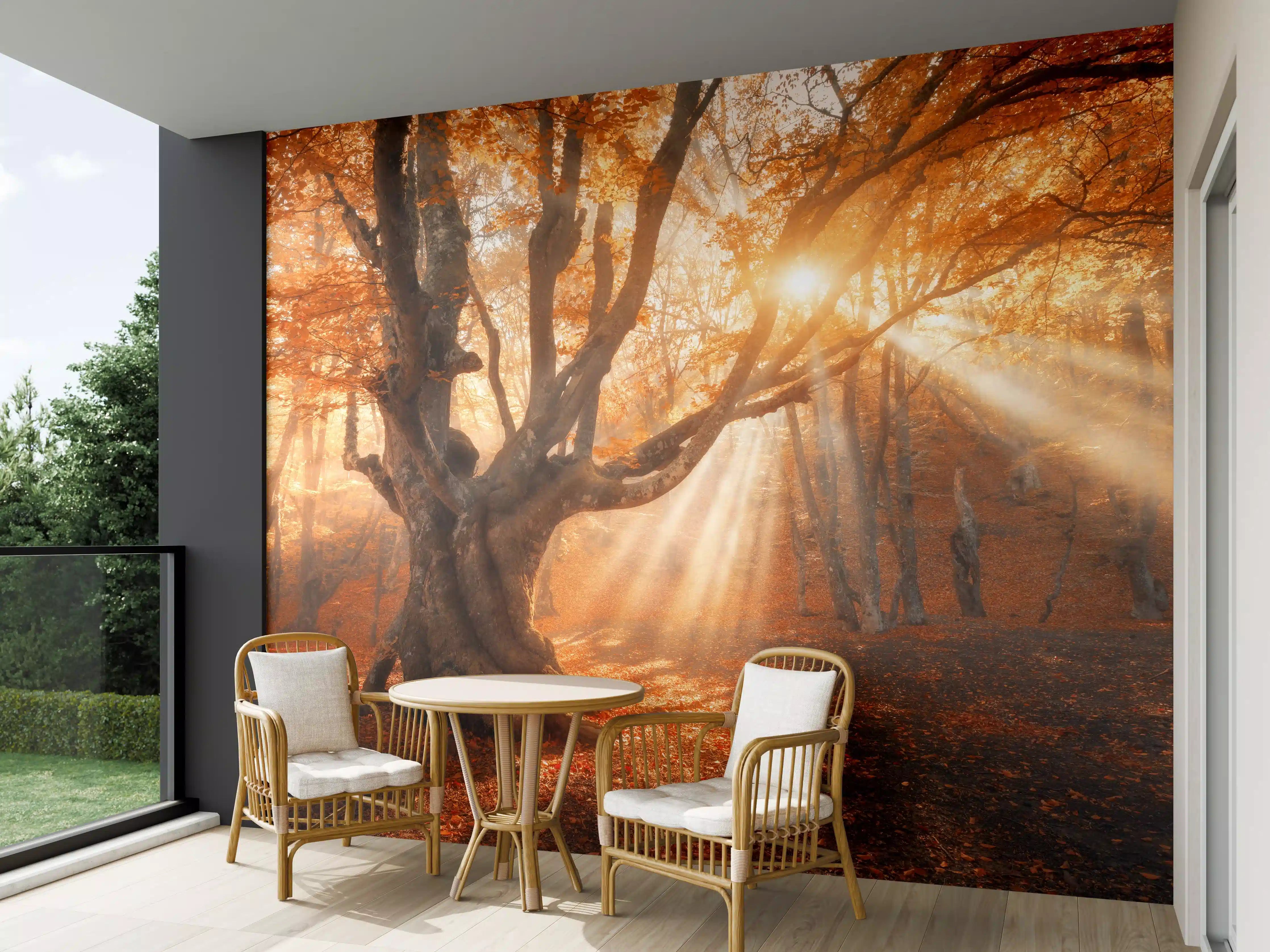 Wandverkleidung außen - Goldener Sonnenstrahl durch Herbstbaum