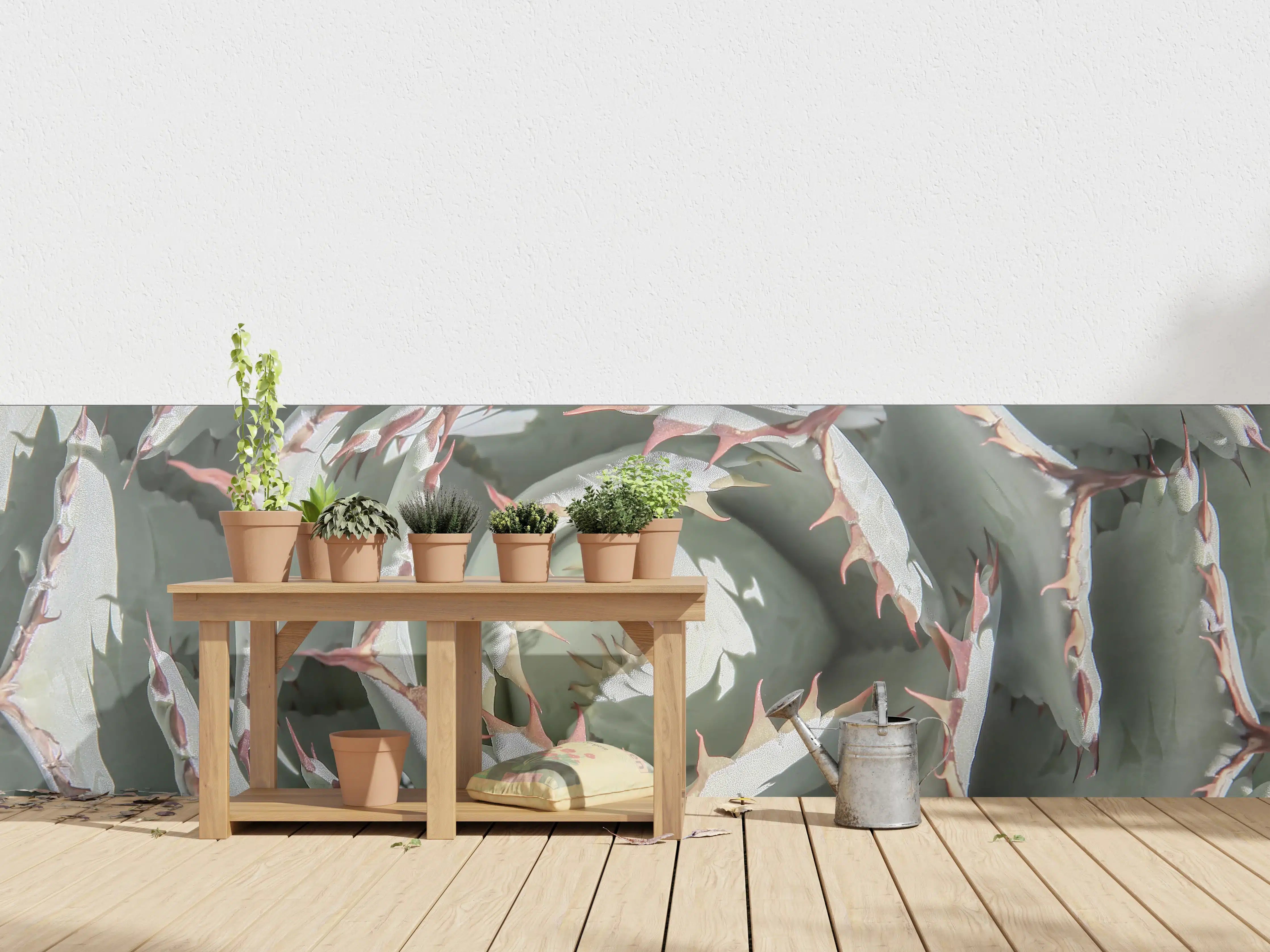 Wandverkleidung außen - Grüner Agaven Makro Aufsicht